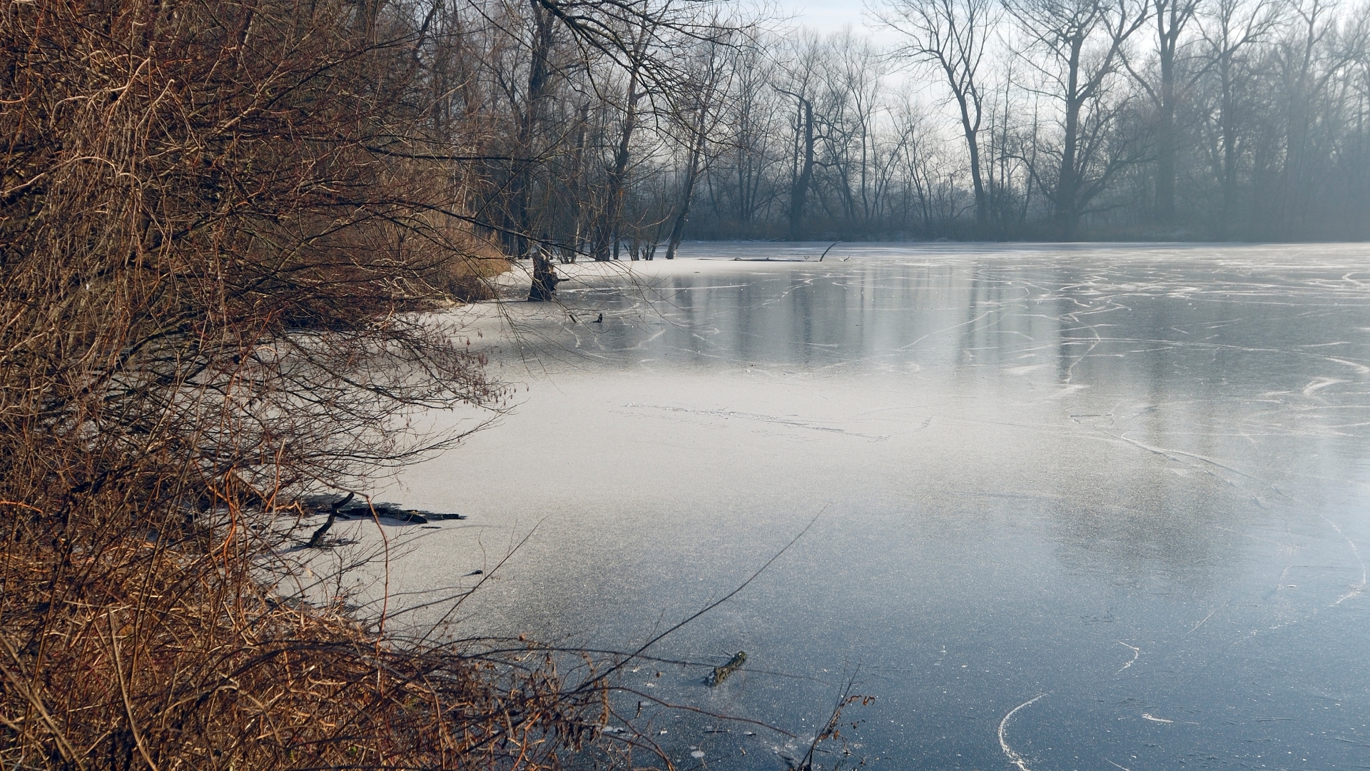Stadt Bamberg warnt vor Betreten von Eisflächen