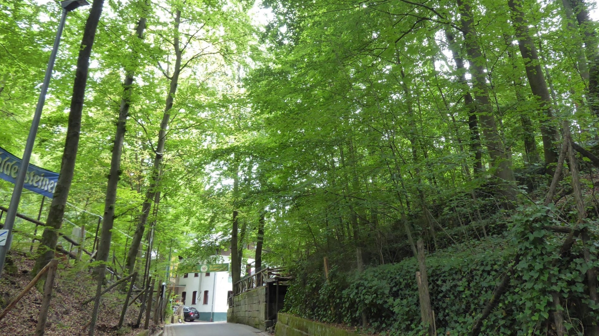 Forchheimer Kellerwald soll in den nächsten Jahren modernisiert werden