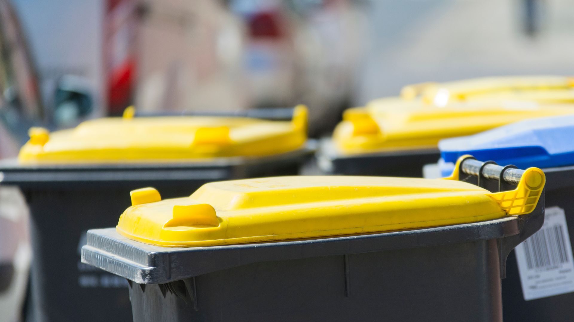 Müllabfuhr im Landkreis Bamberg: Feiertage bringen erste Terminverschiebungen ab morgen