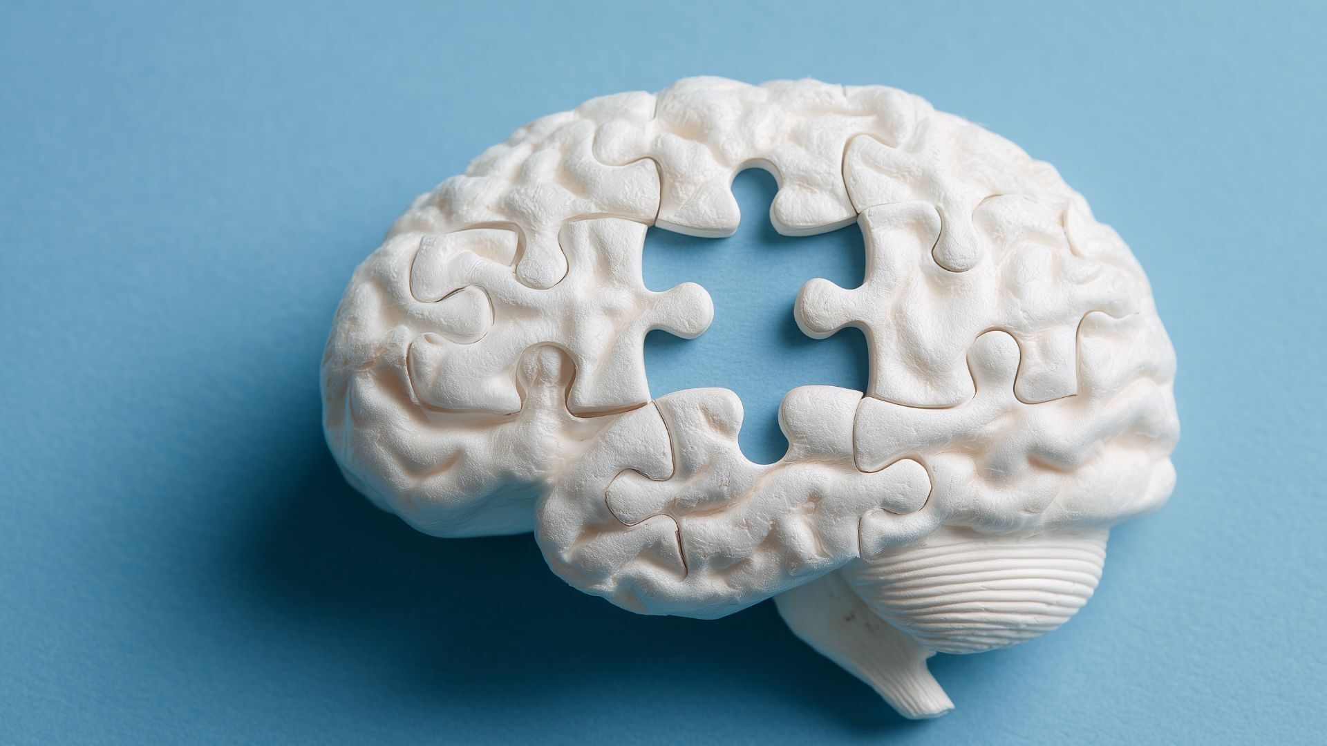 Psychologie studieren: Trainingstag für Studieneignungstest