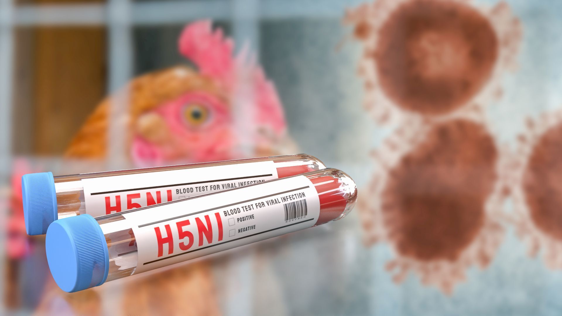 Zwei Fälle von Geflügelpest im Stadtgebiet Bamberg