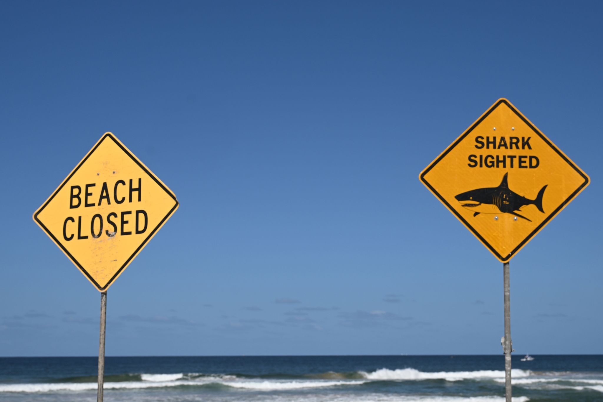 Haiattacke in Australien – Frau stirbt, Mann schwer verletzt