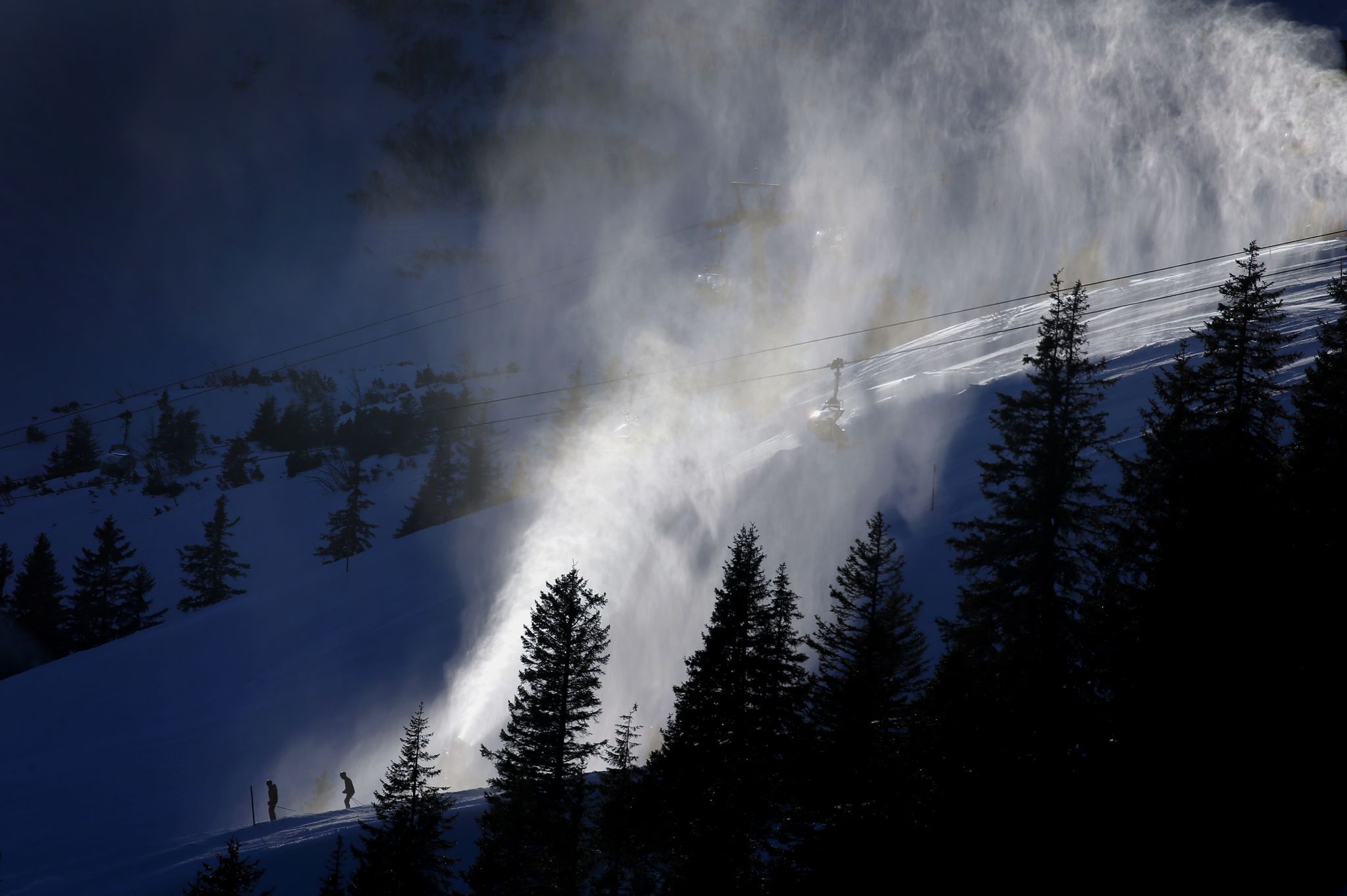 Birkhuhn in Gefahr? LBV macht Front gegen Liftbau im Allgäu