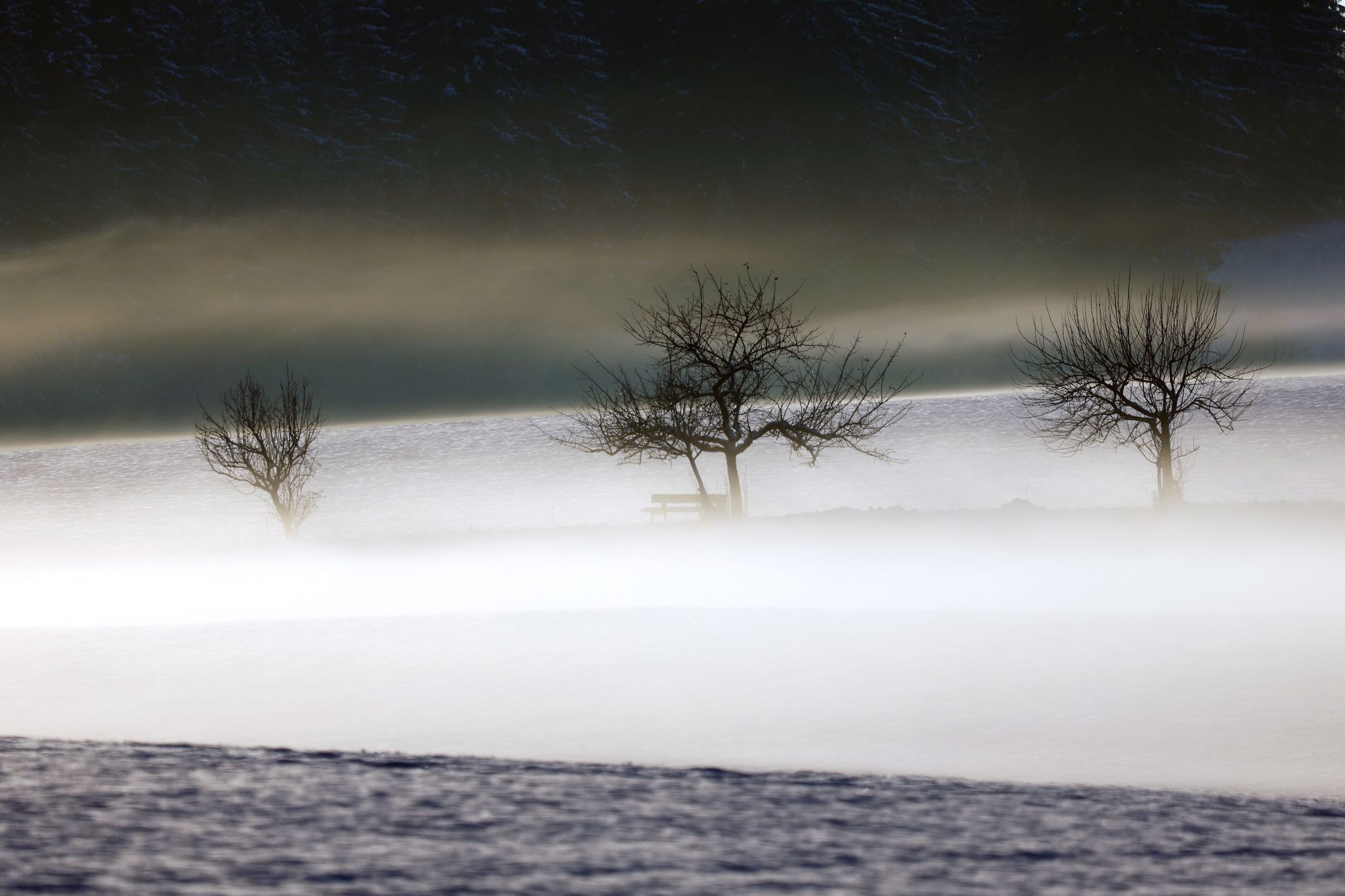 Trüber Start ins Wochenende – milde Temperaturen