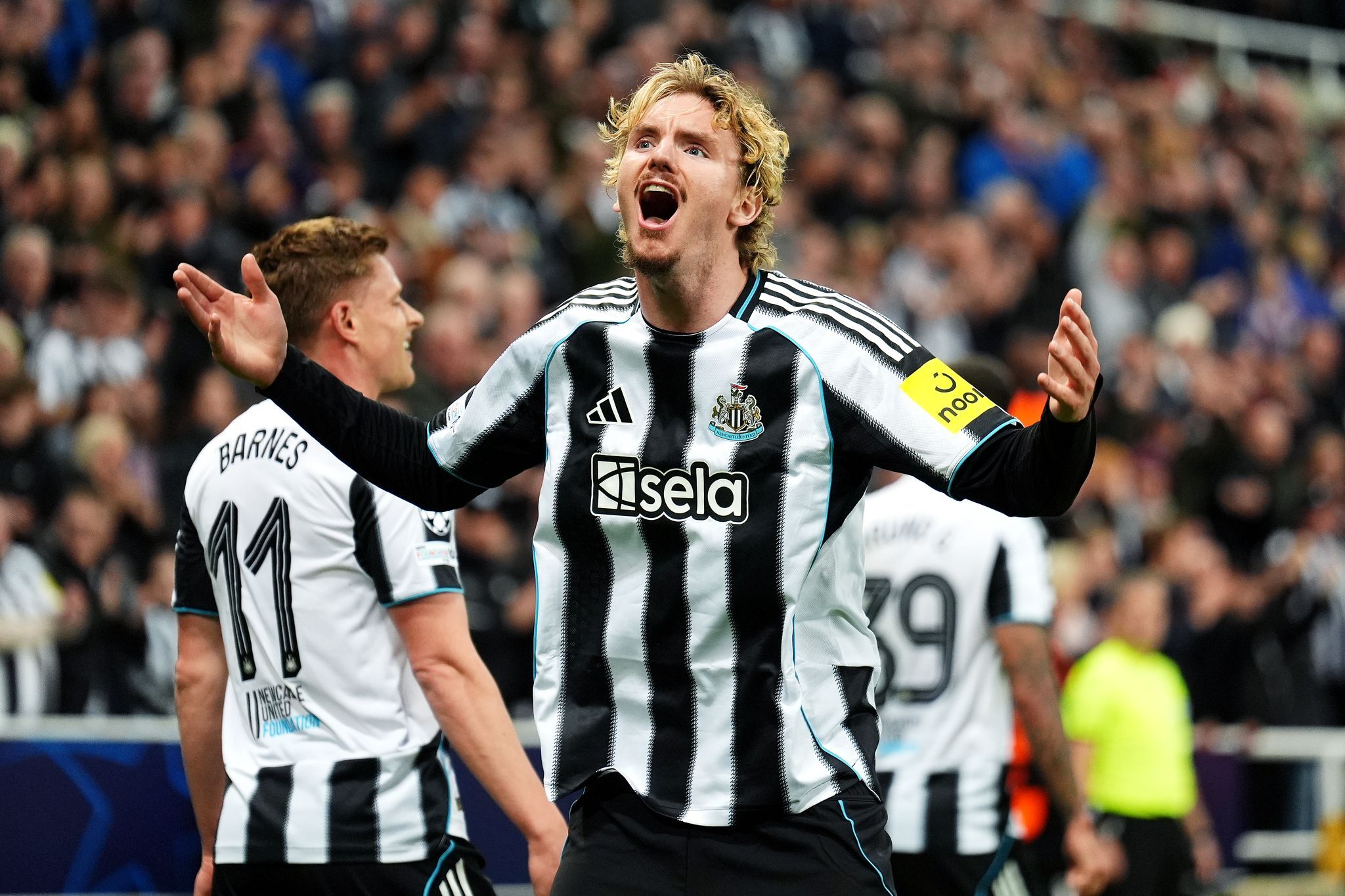 Keine «Eintagsfliege» – Woltemade will bei Premiere treffen