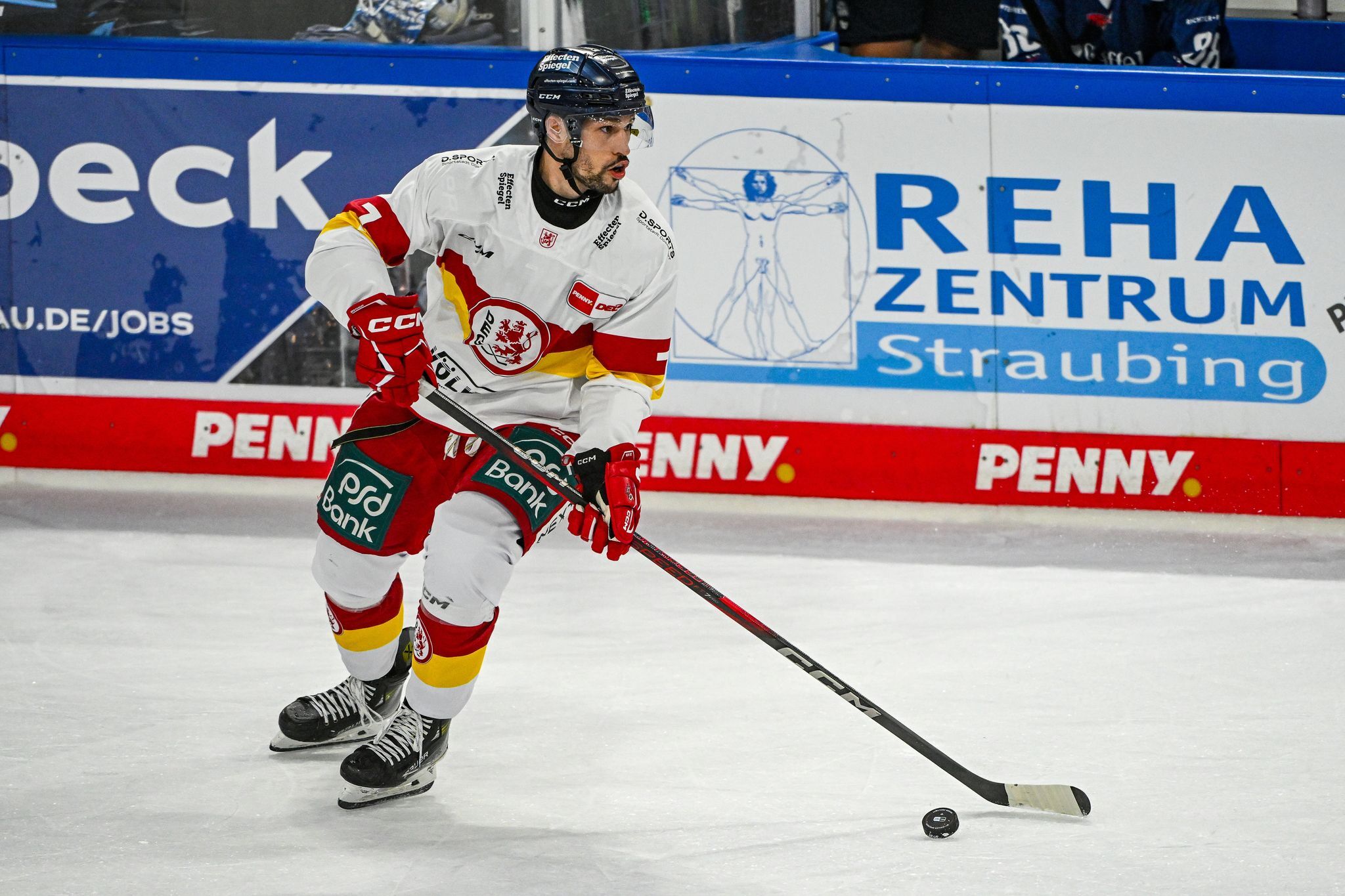 Nürnberg Ice Tigers holen Abwehrroutinier