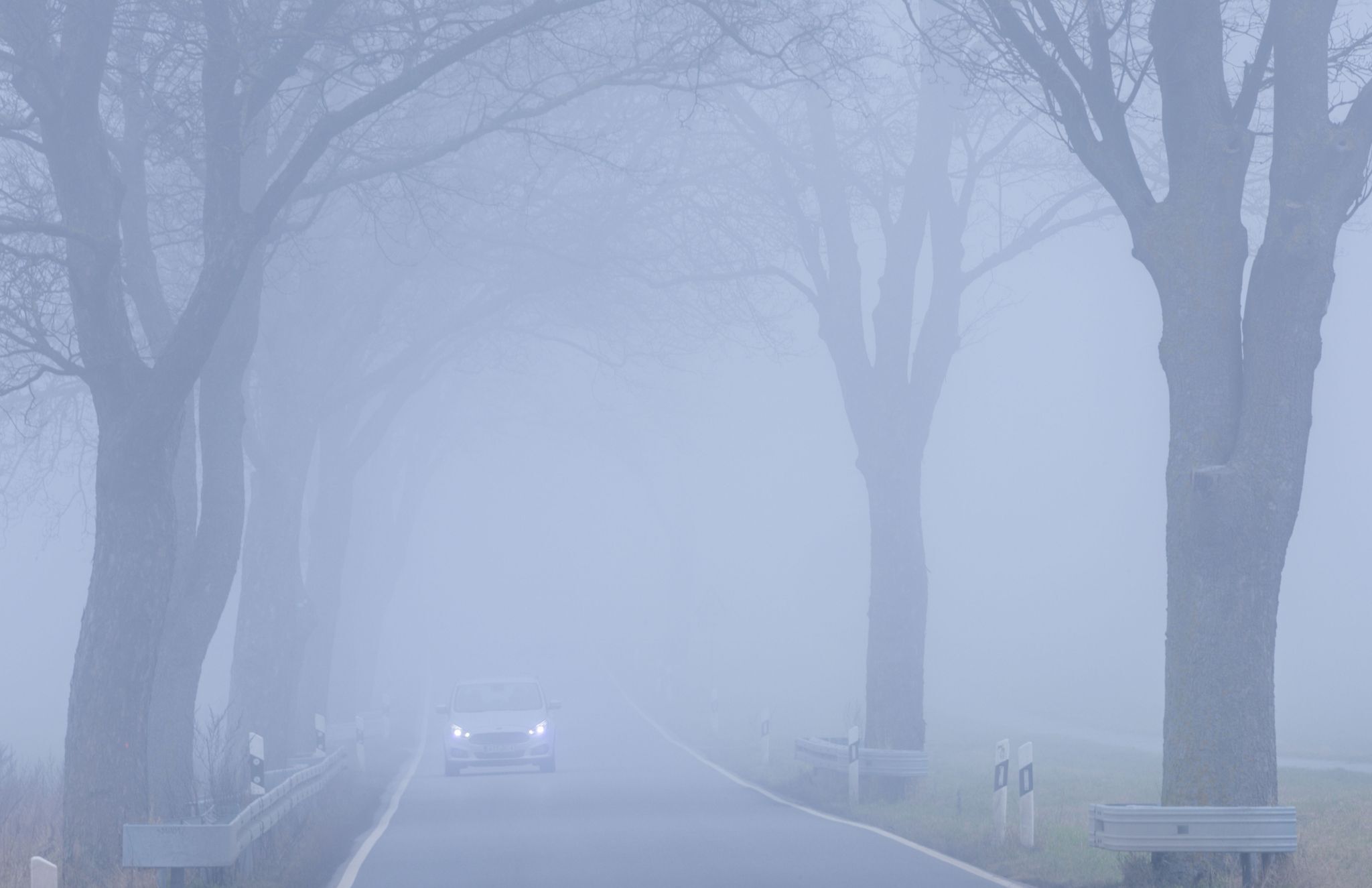 Vollbesetzter Schulbus verfehlt im Nebel Abbiegung