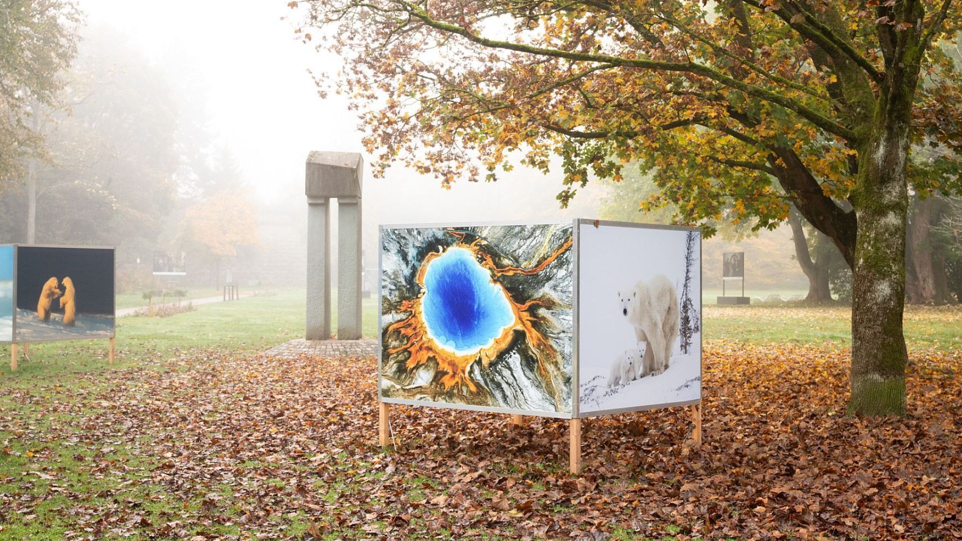 Fotopark kommt 2026 wieder nach Forchheim