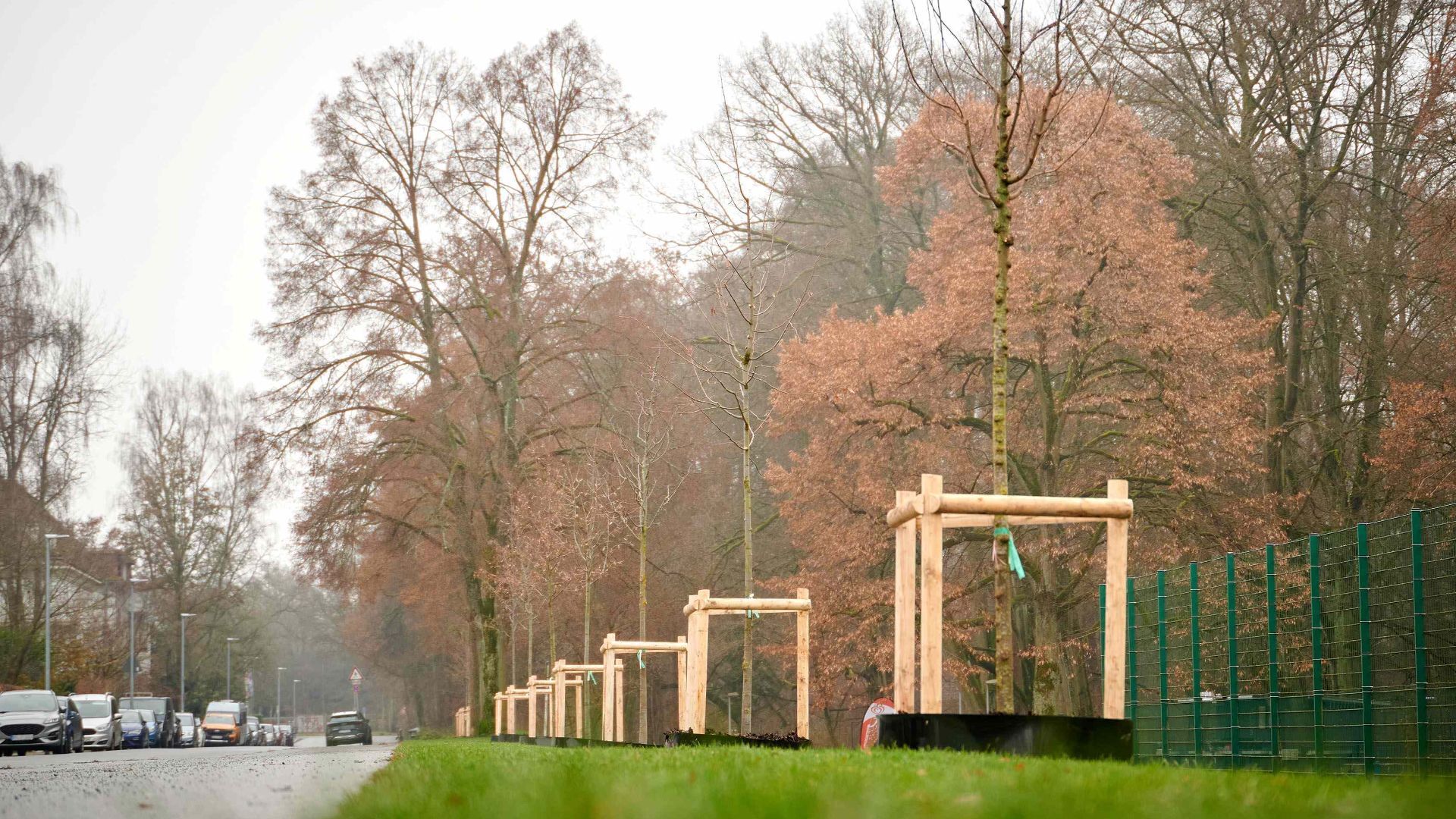 Dreißig neue Bäume nach Bürgervorschlägen gepflanzt