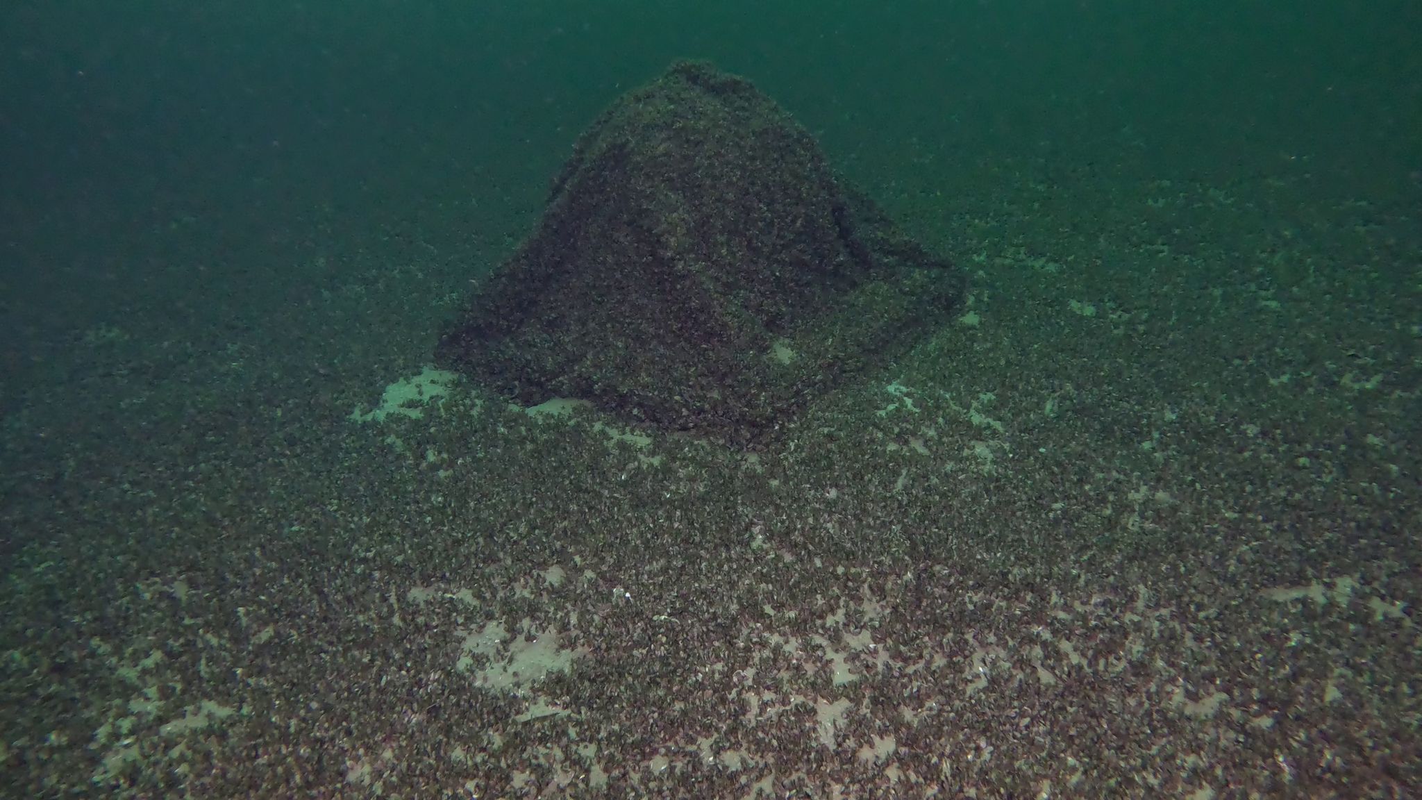 Vermisste Kugel mit Gin im Bodensee gefunden