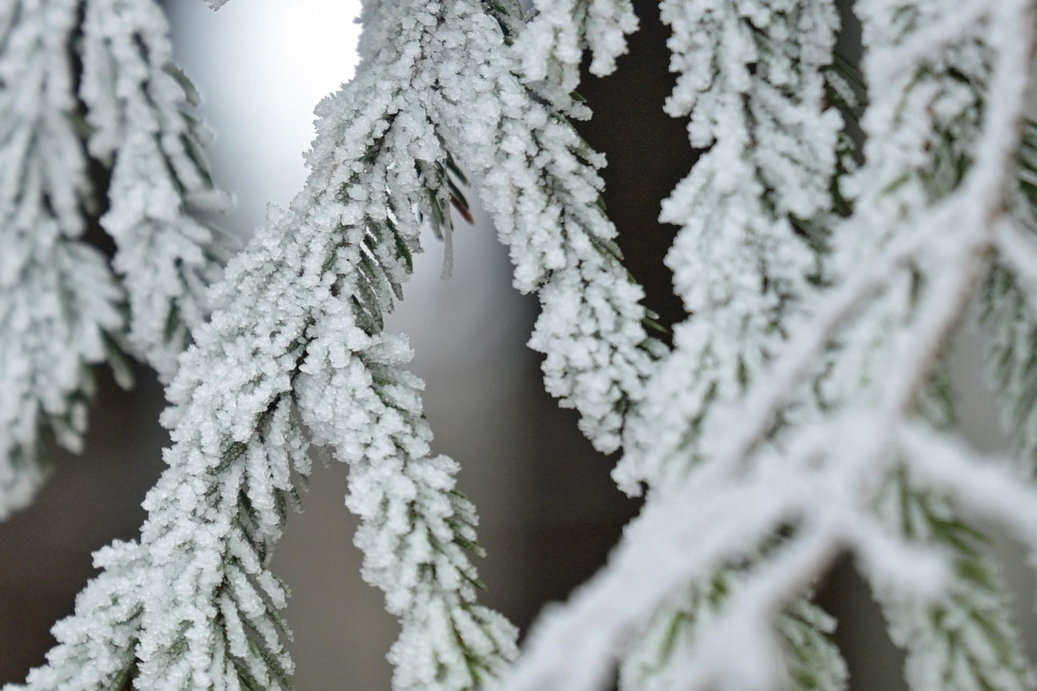 Vereinzelt fällt Schnee, aber zumeist grüne Weihnacht