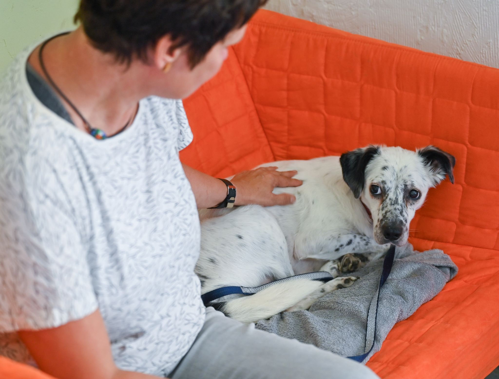 Diskussion um Jahresausklang ohne Böller nimmt Fahrt auf