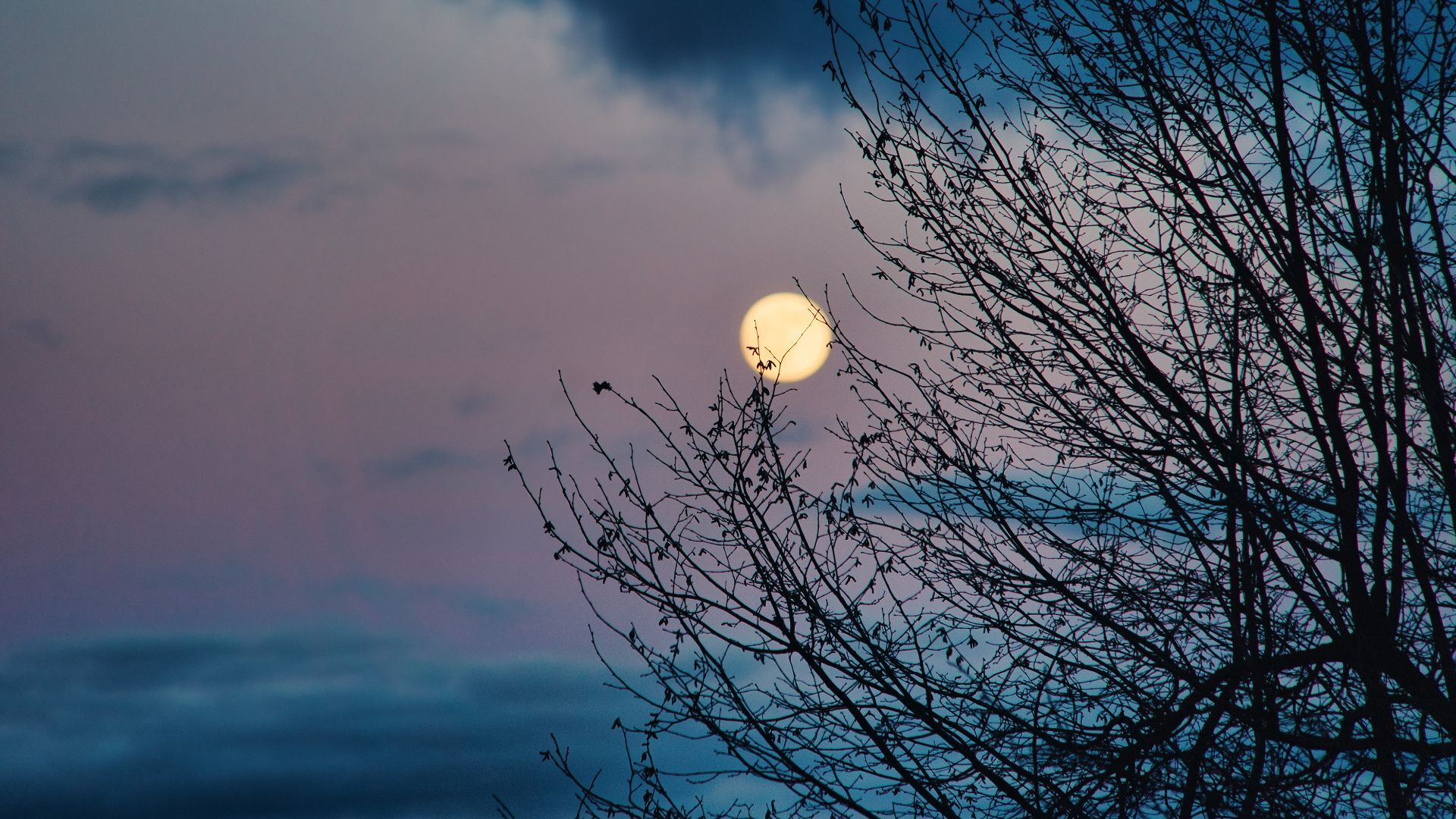 Magie in den Rauhnächten: auch beim Wetter gibt es Orakel