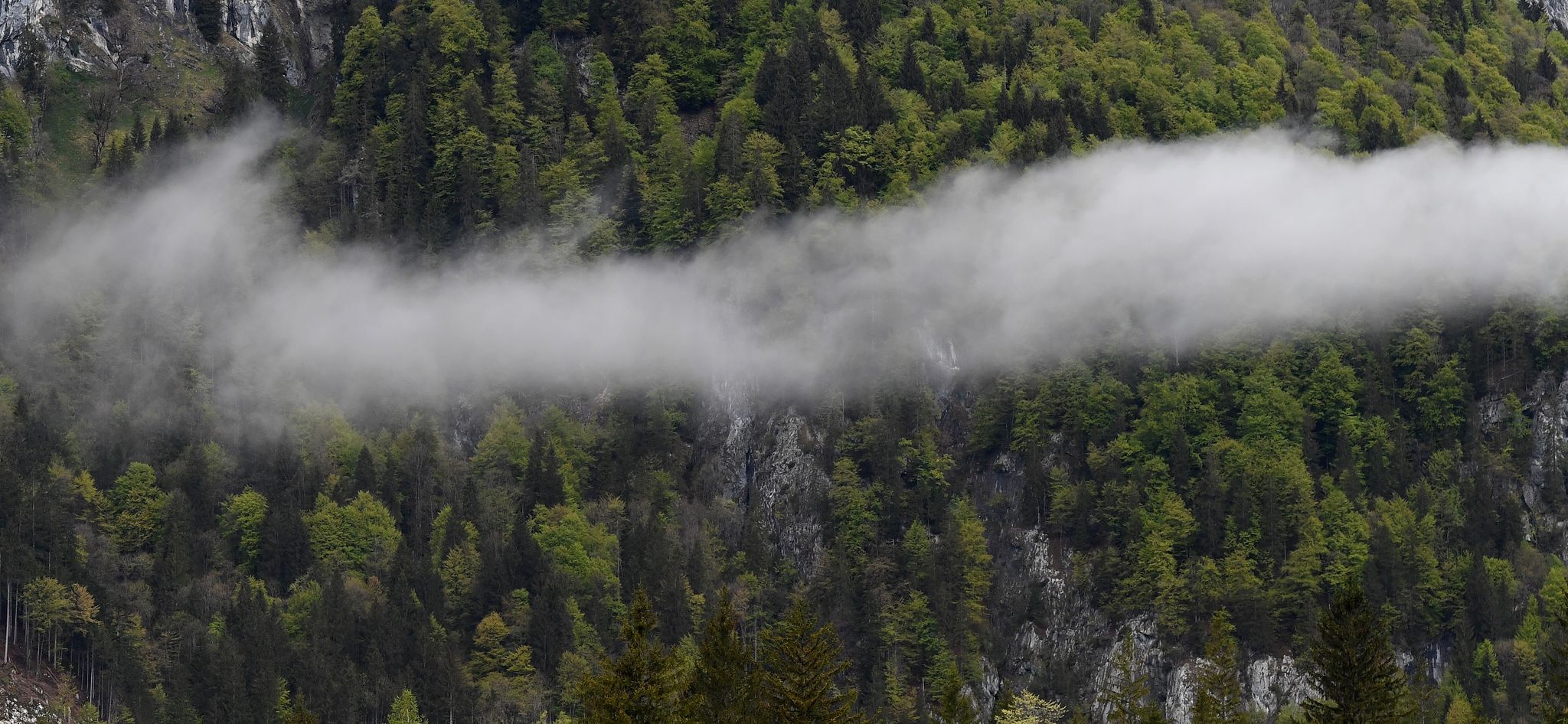 Bayerns Denkmalliste wächst – von Jagdhütte bis Brutalismus