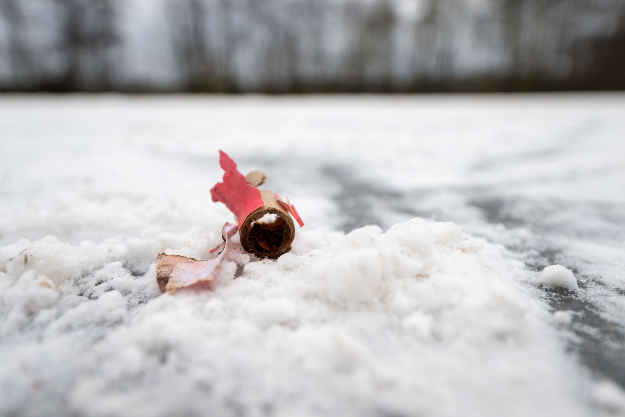 Mehr als eine Million unterstützen Petition für Böllerverbot