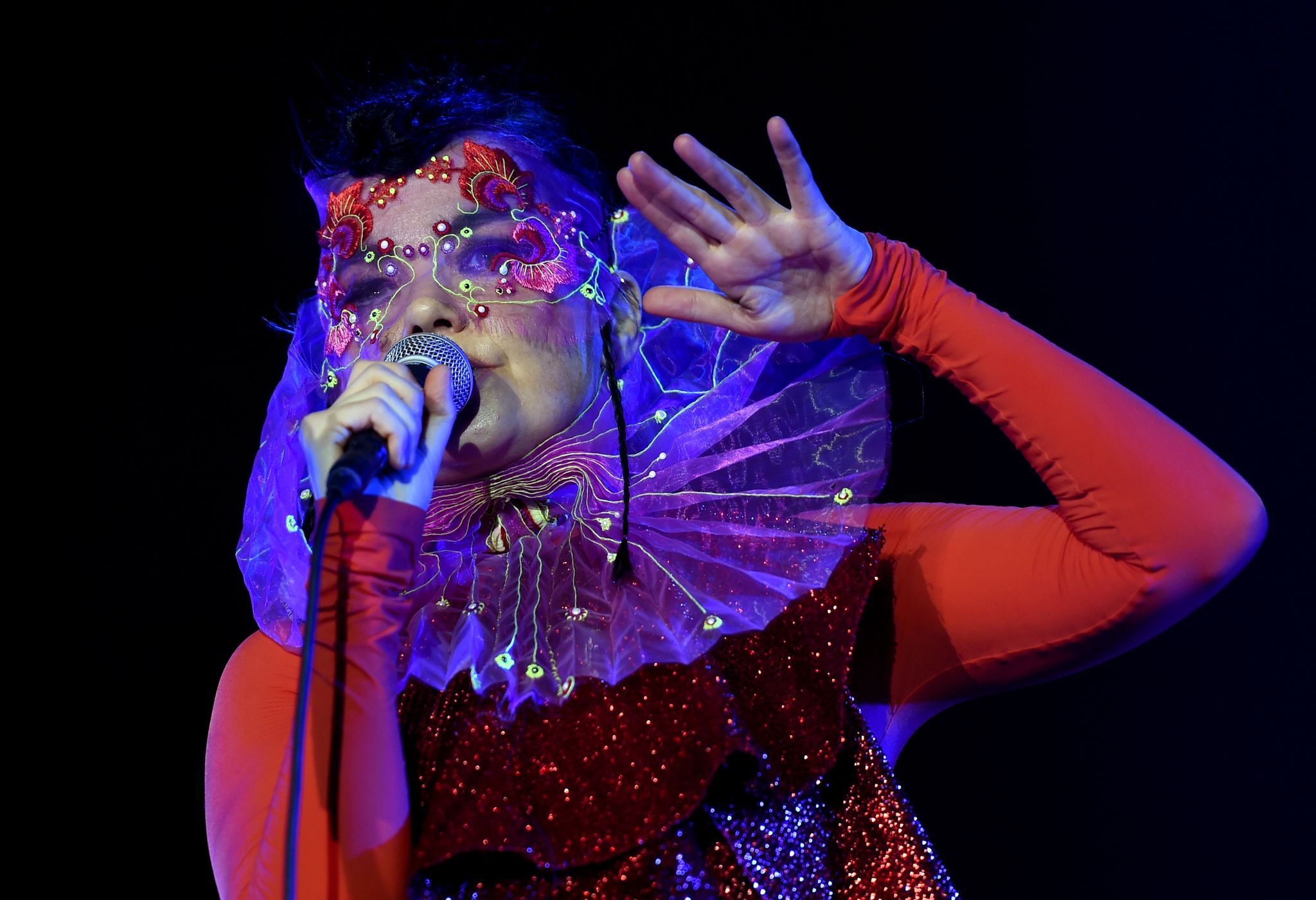 Sängerin Björk fordert Grönlands Unabhängigkeit