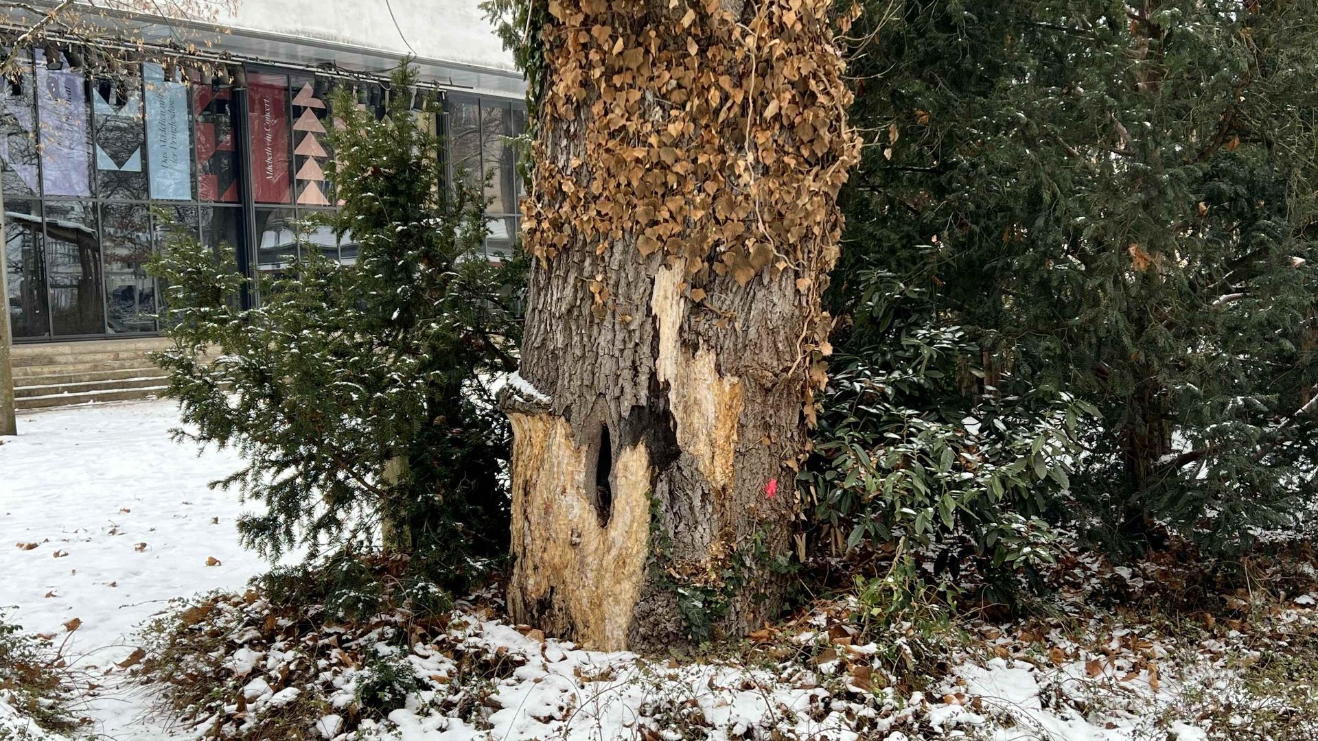 Sicherheit für den Spielplatz im Harmoniegarten