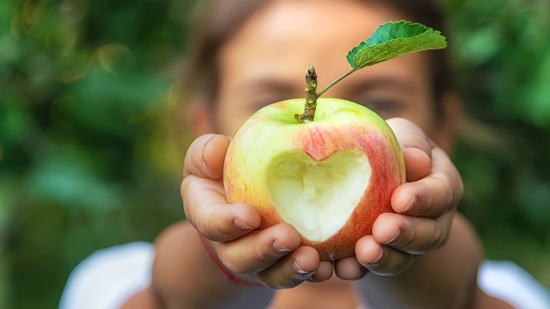 Zum Tag des Apfels verschenken die fränkischen Obstbauern Äpfel an Kindergärten