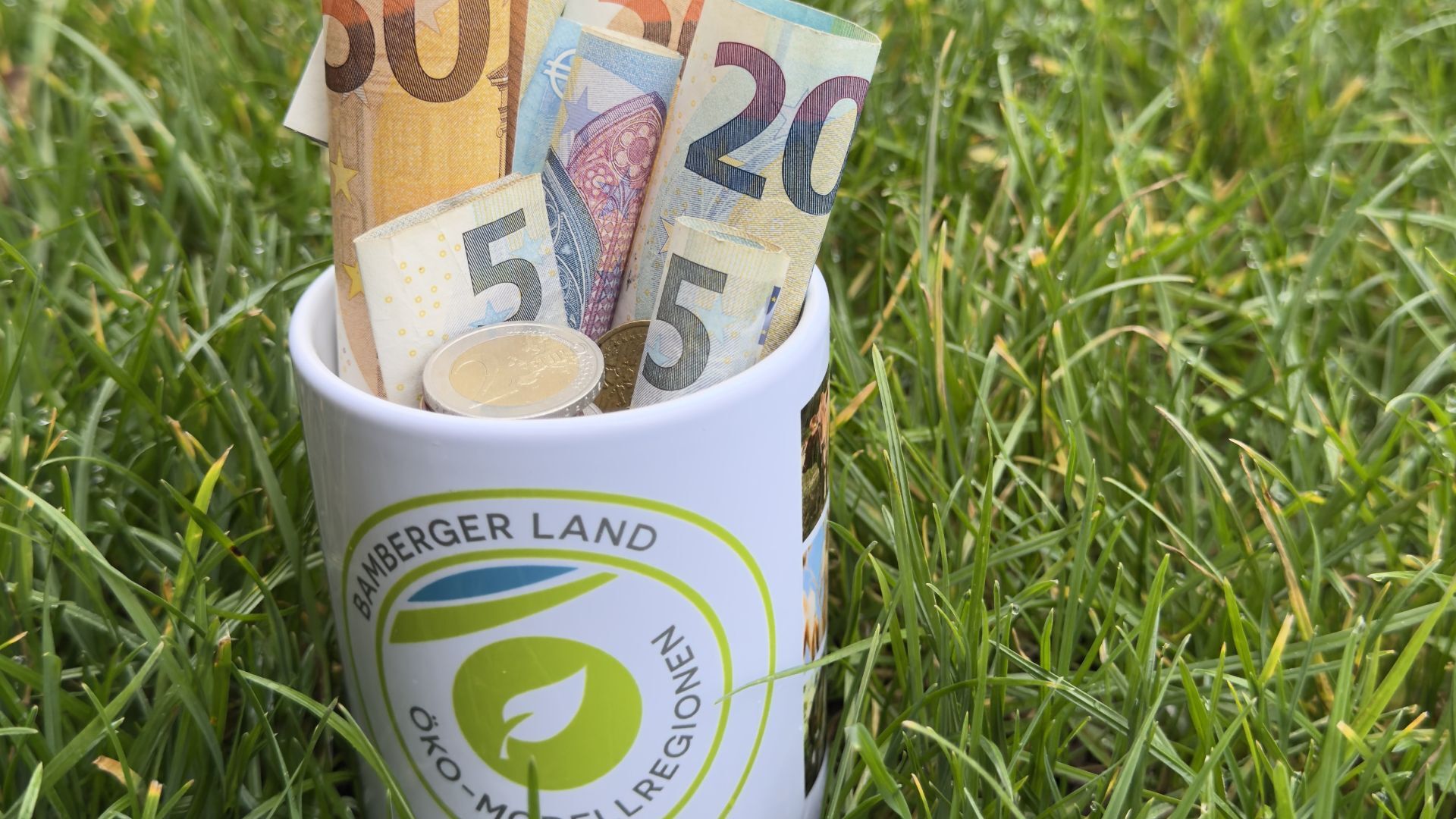 Öko-Kleinprojekte im Bamberger Land bis zum 21. Januar einreichen