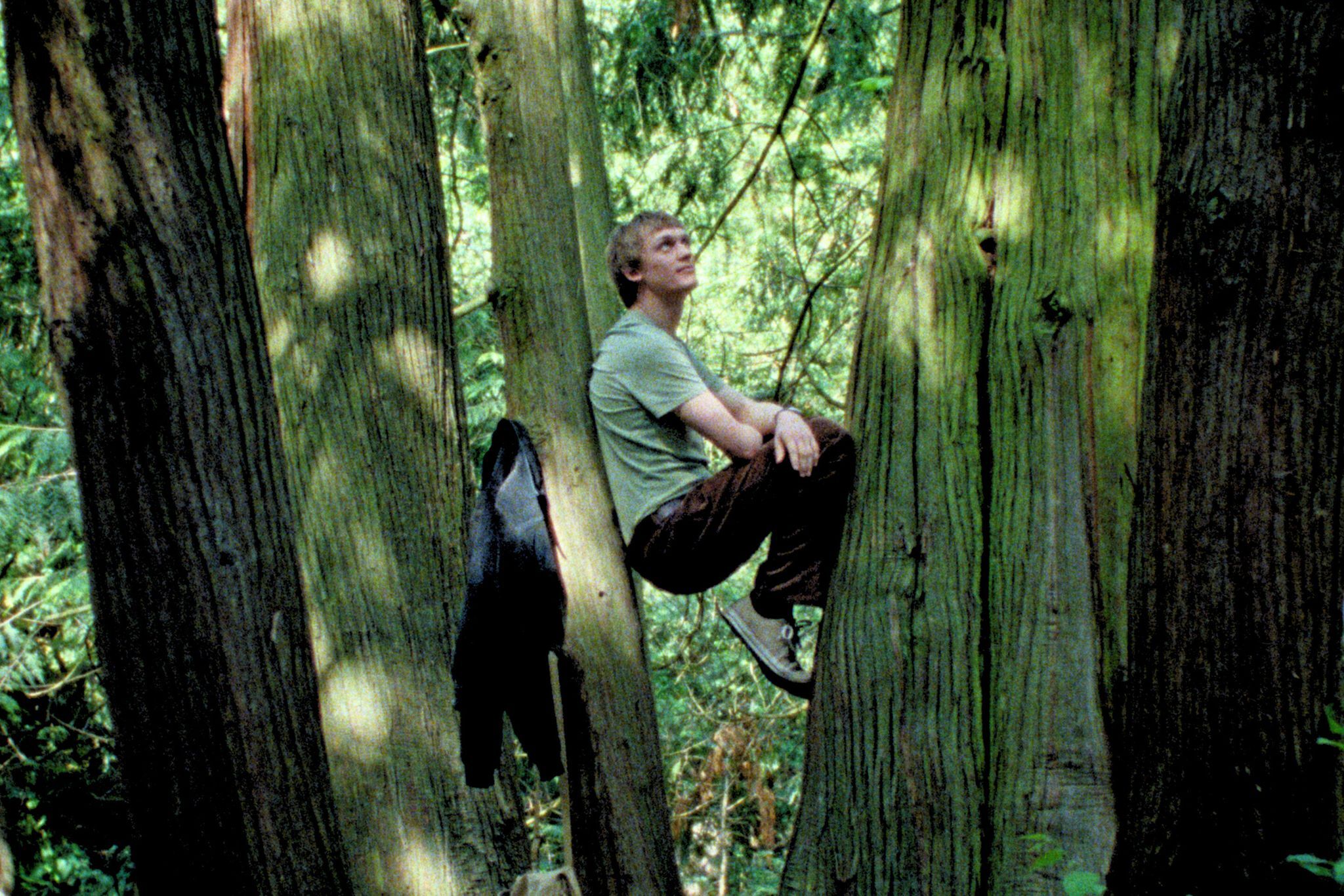 Wenn ein Ginkgo Geschichten erzählt
