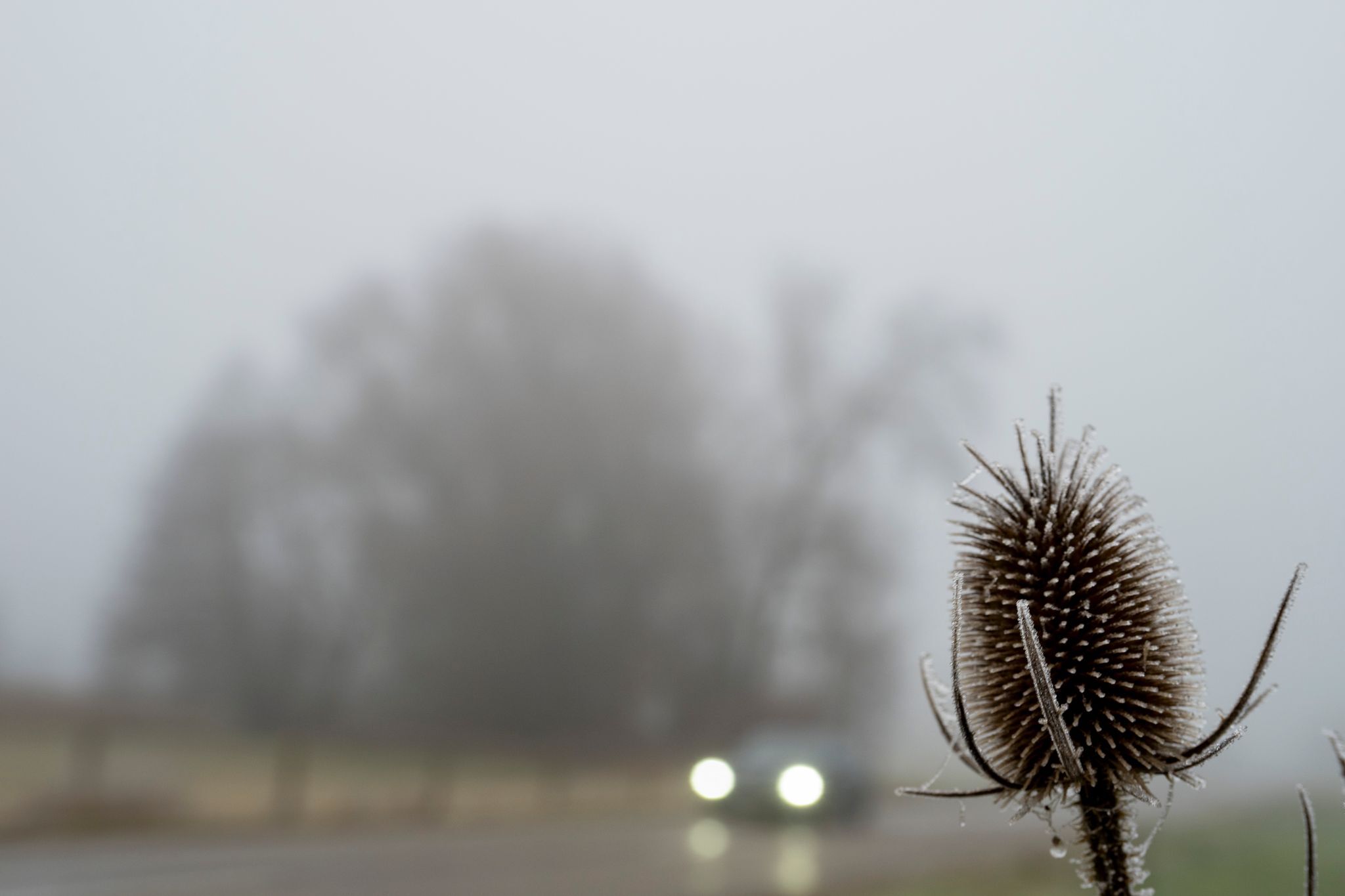 Der Samstag wird trüb – die Nacht zum Sonntag glatt