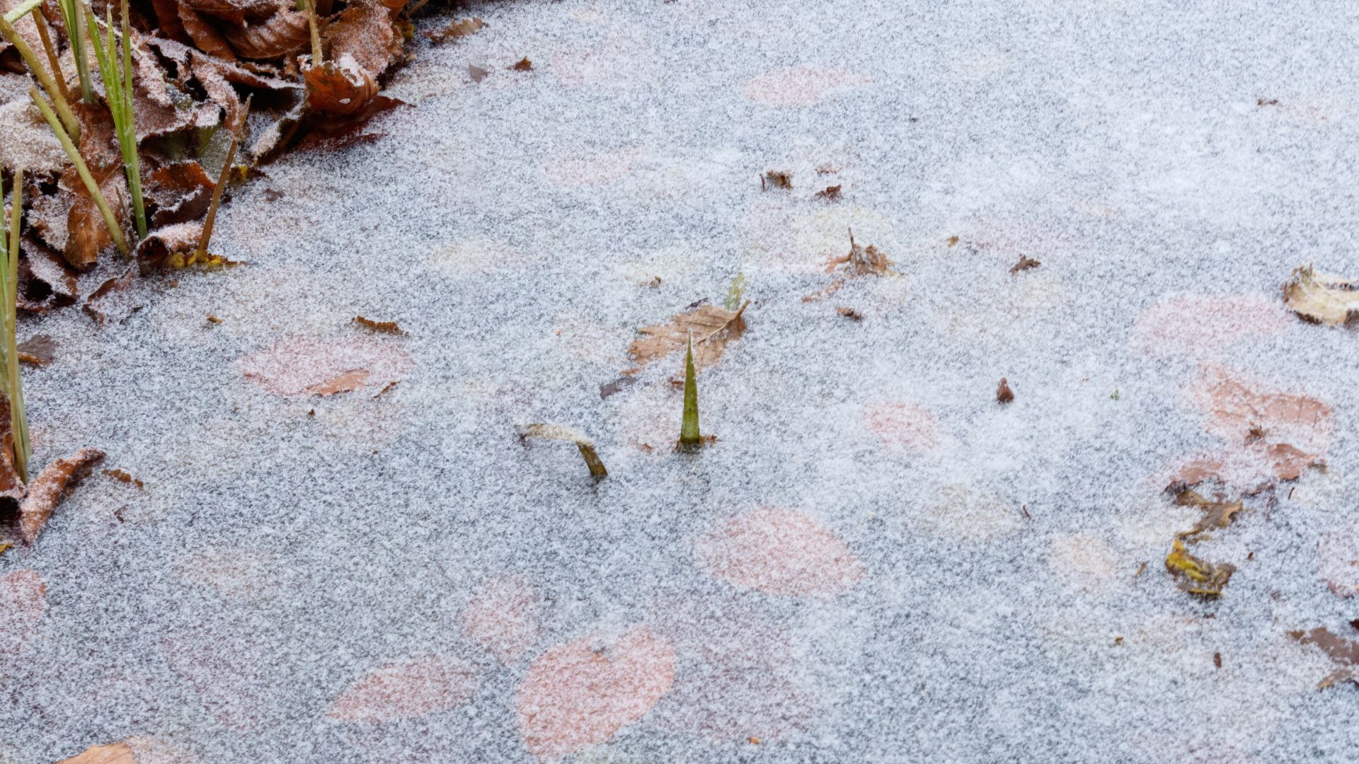 Warnung: Eisflächen in Bamberg und Forchheim sind aktuell lebensgefährlich