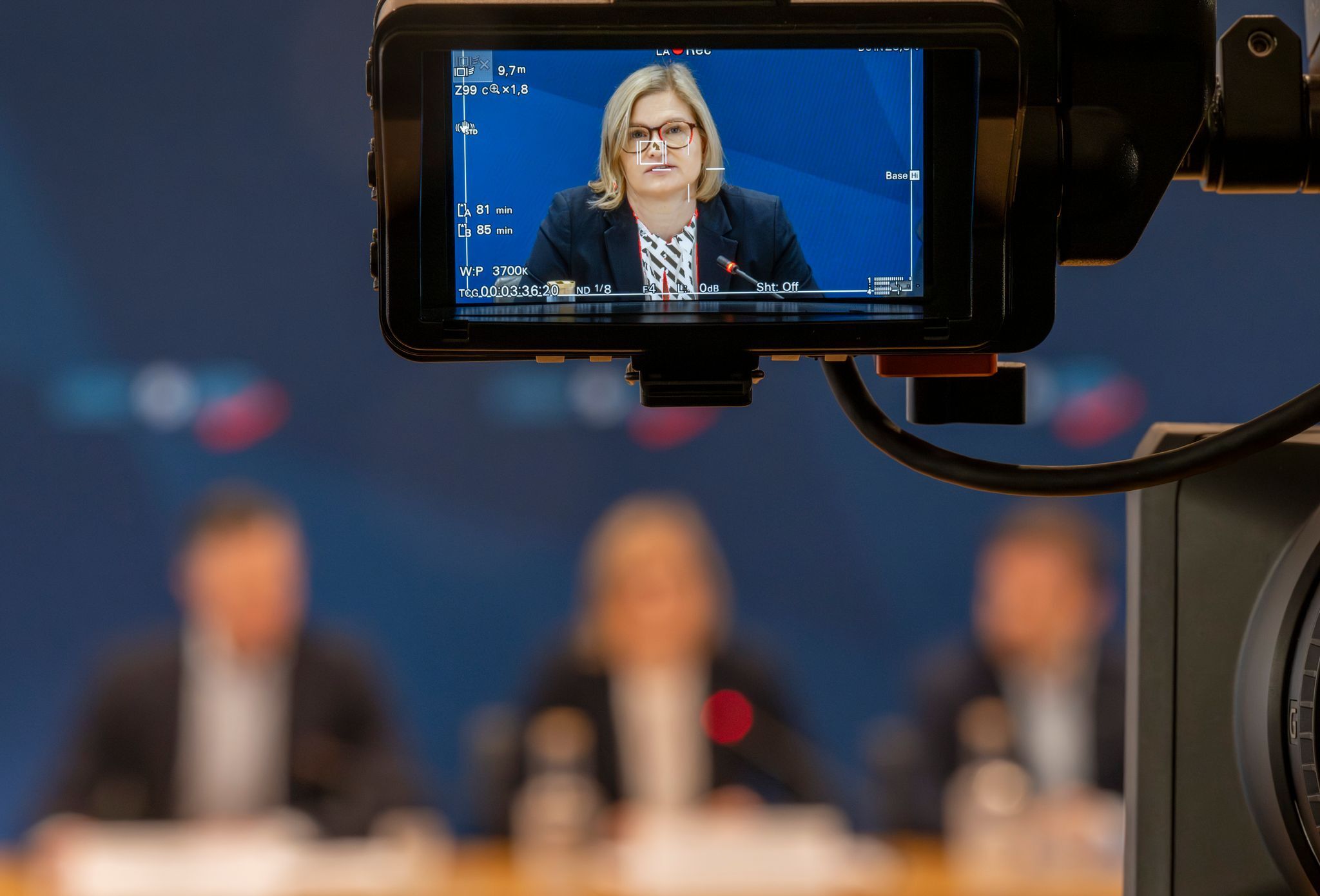 AfD: Nur Menschen einbürgern, die dem Staat nützlich sind