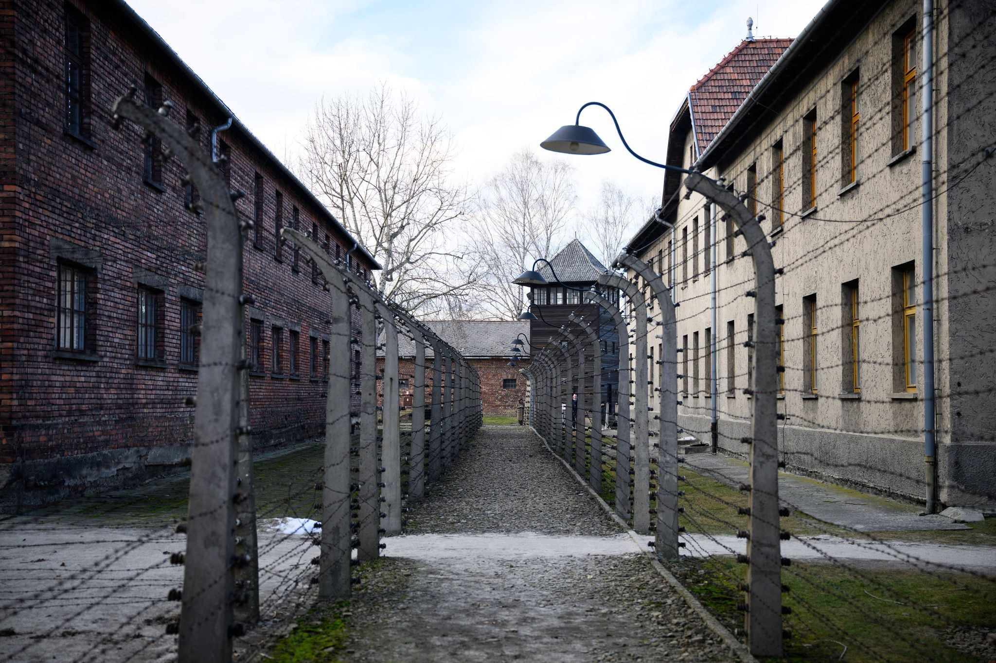 Holocaust-Überlebende: Verteidigen Sie die Demokratie