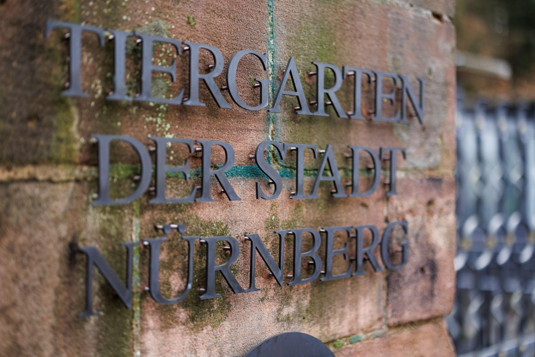 Tiergarten Nürnberg und Zoo Augsburg wegen Schnees zu