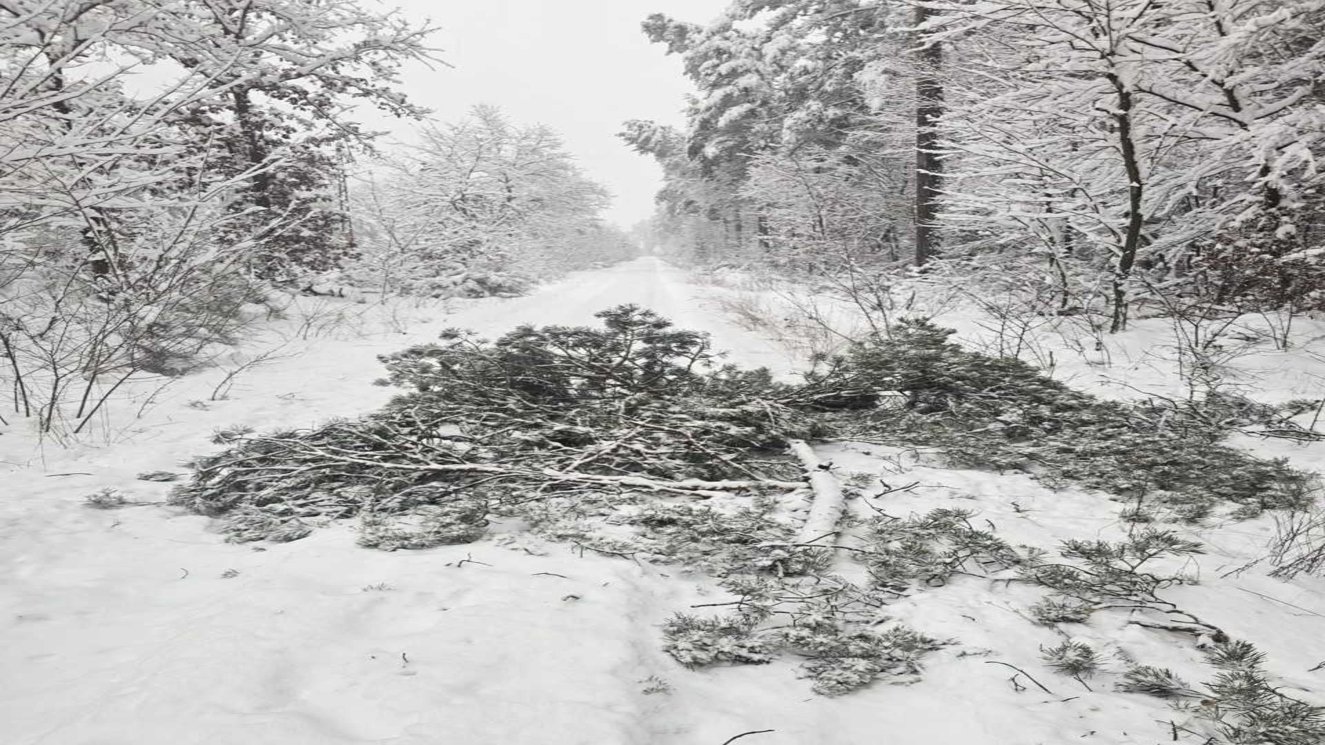 Winterchaos im Raum Forchheim