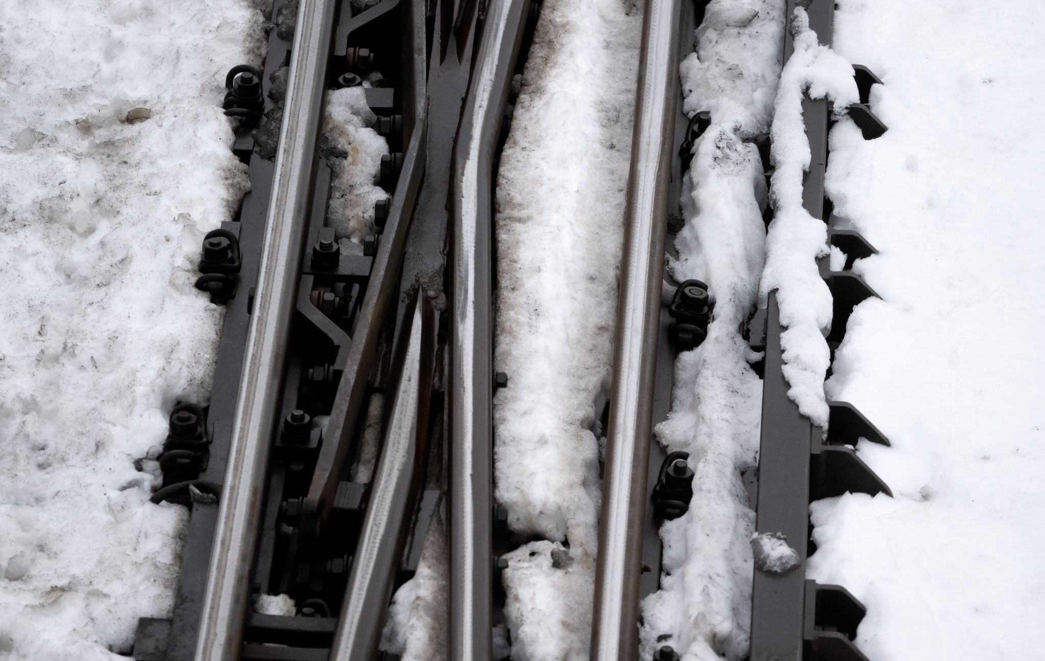 Bäume auf Gleisen – Zugstrecken um Nürnberg gesperrt