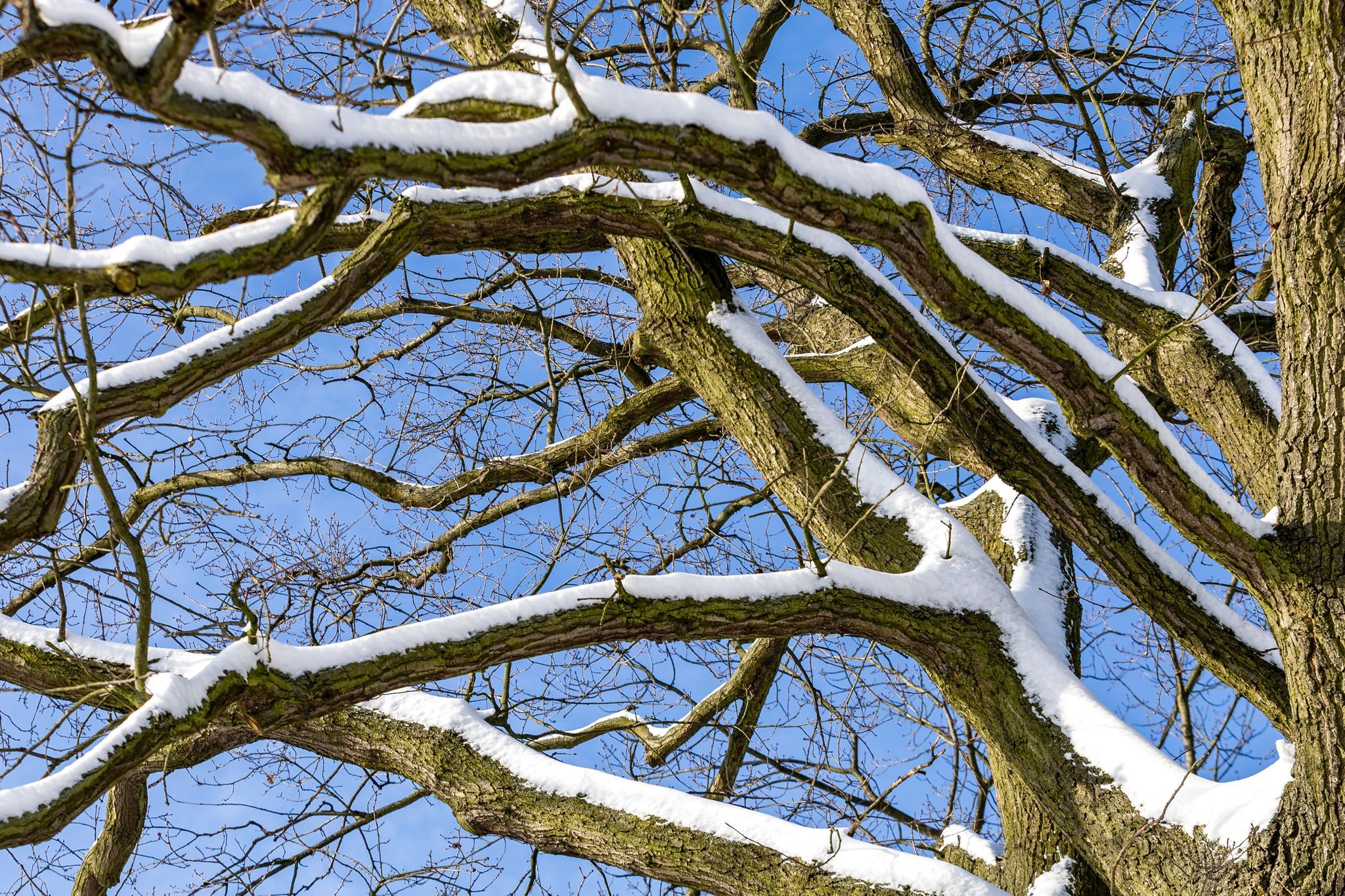 Frau in Nürnberg von Ast erschlagen