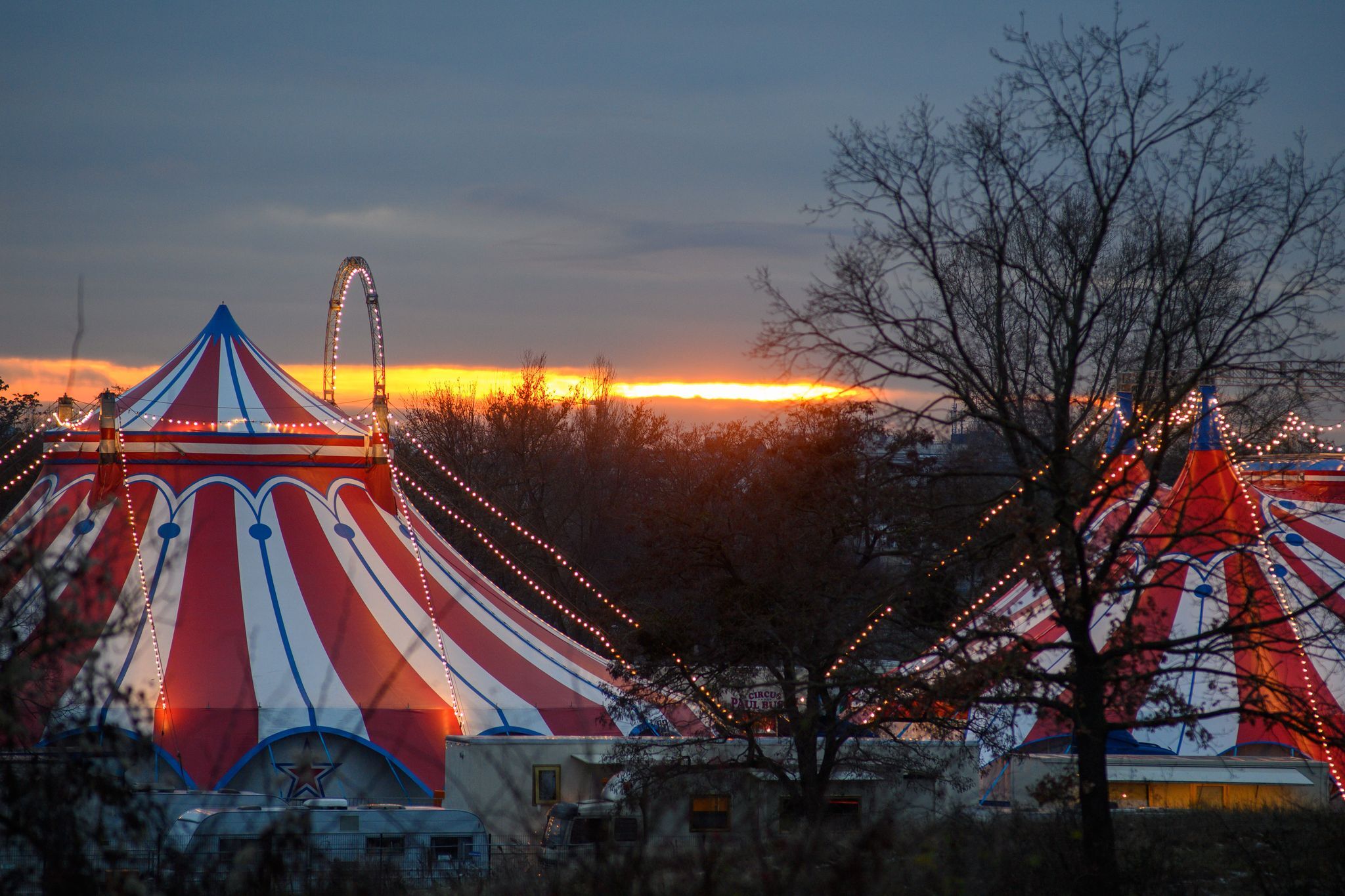 Urteil: Gericht legt Gema-Gebühren für Zirkus fest