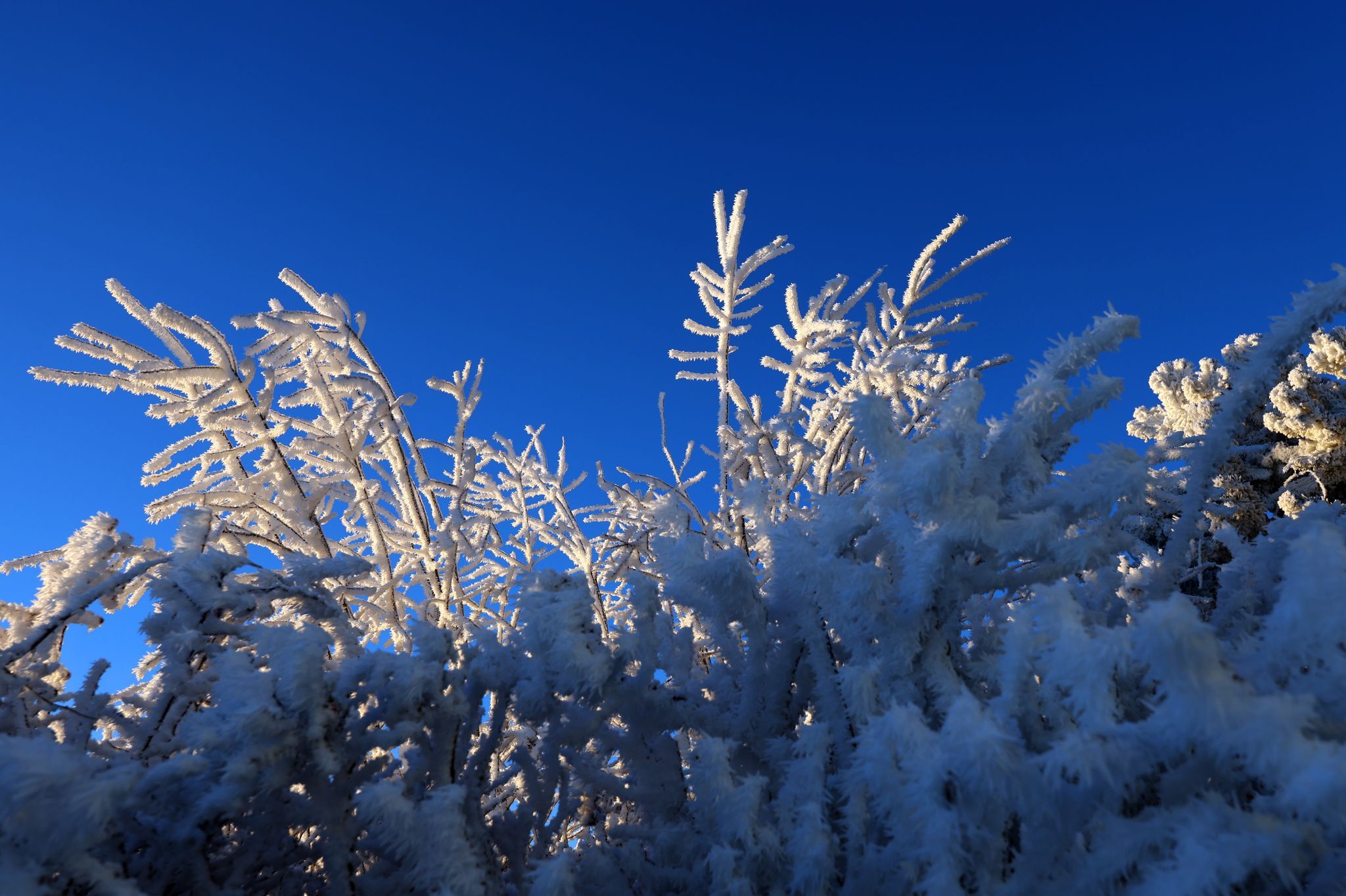 Wie zwei Polizisten für einen Jungen zu Monsterjägern wurden