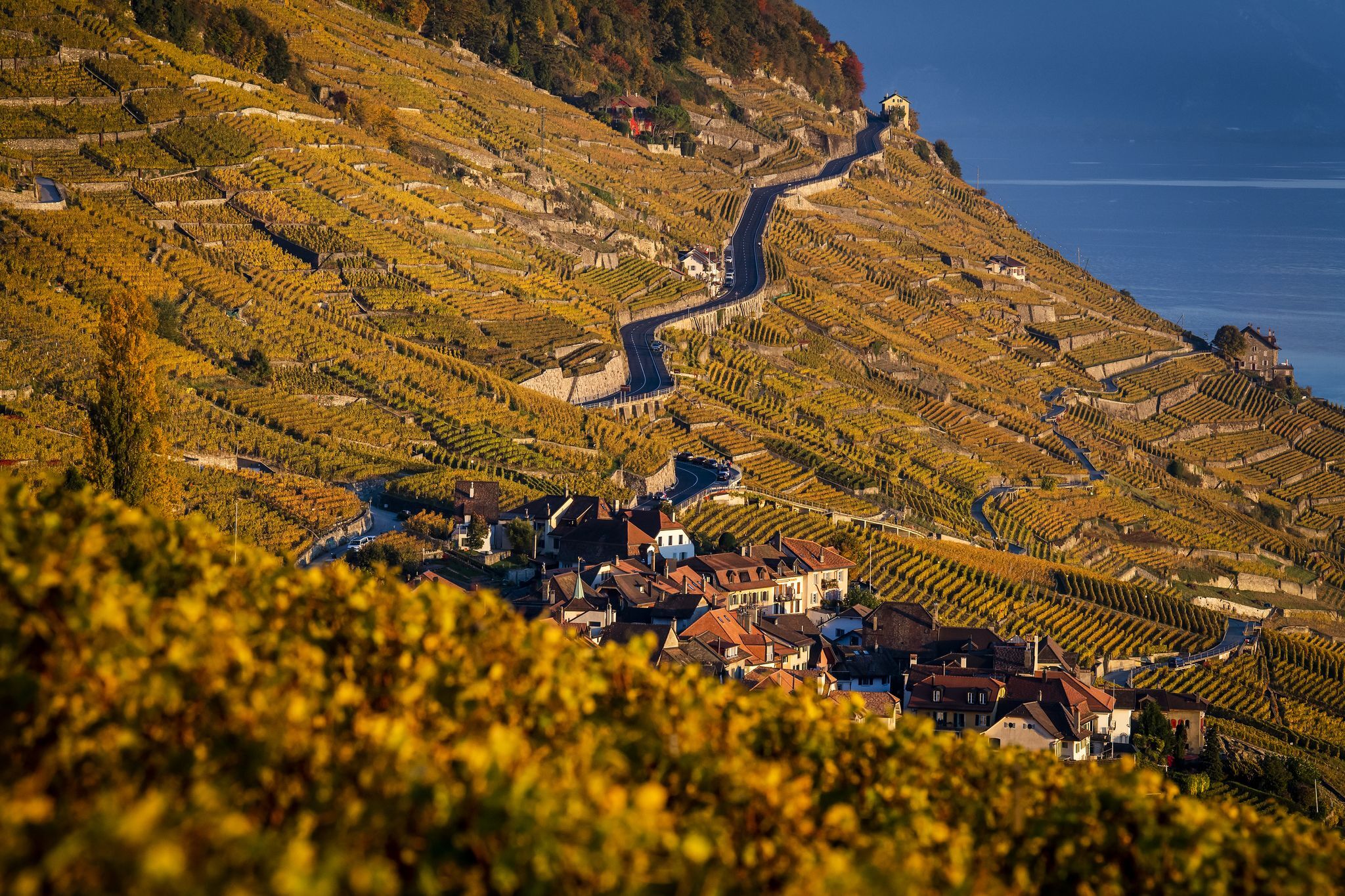 Schweizer Politiker will Promillegrenze im Kantonsparlament