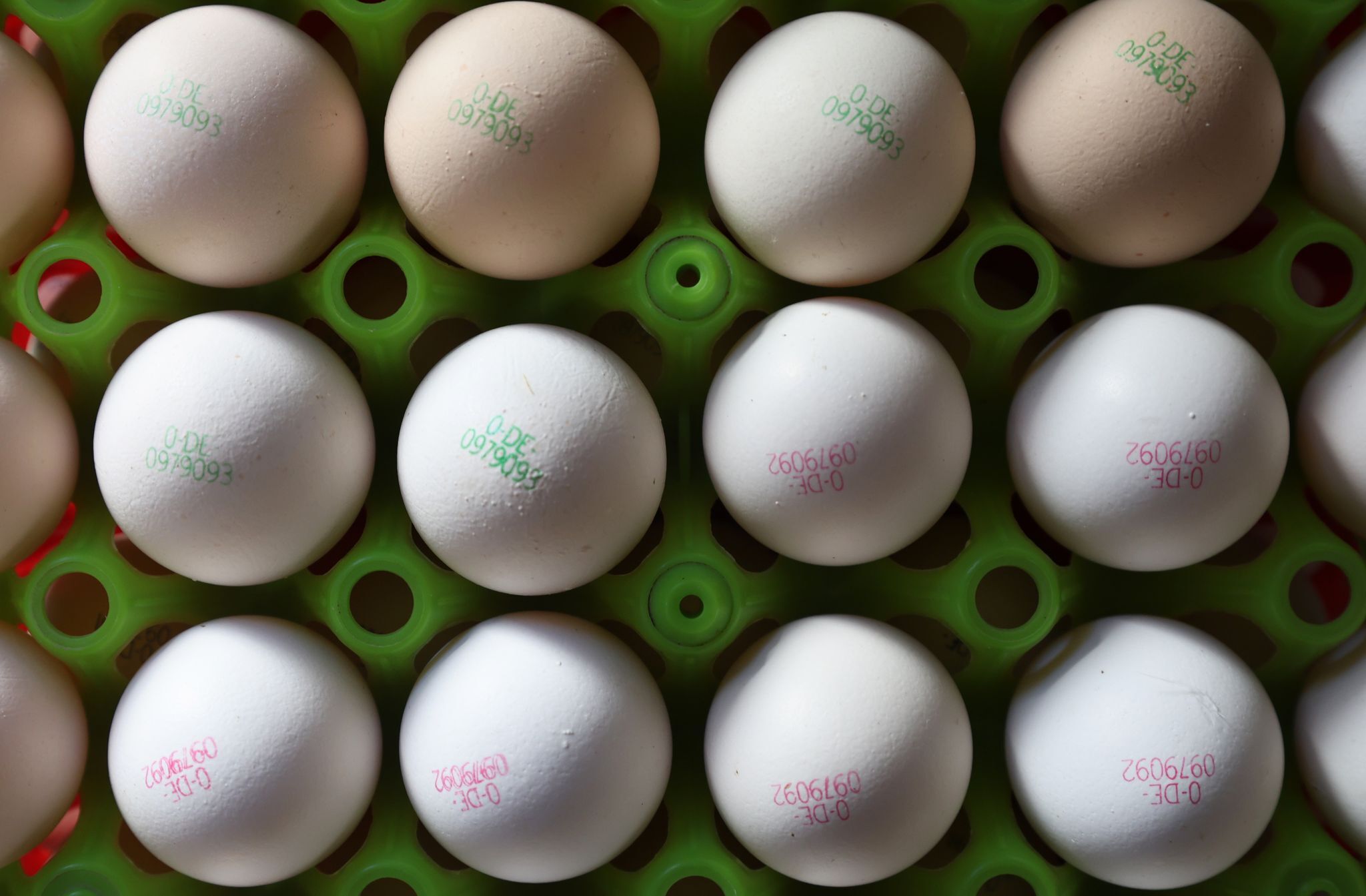 Weniger Bio-Anbau in Bayern trotz hoher Nachfrage