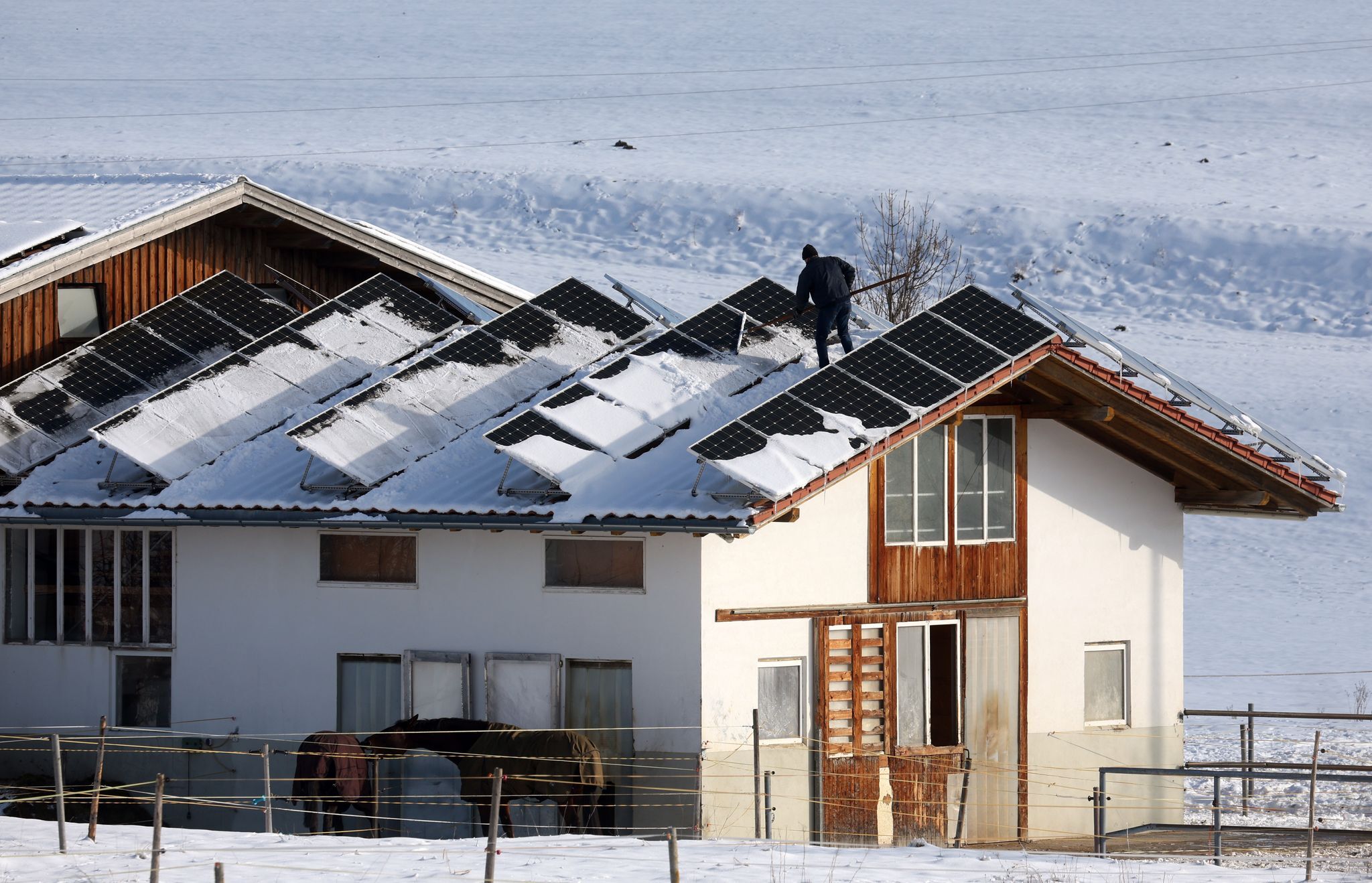 Eon: Saarland und Bayern Solar-Spitzenreiter 2025