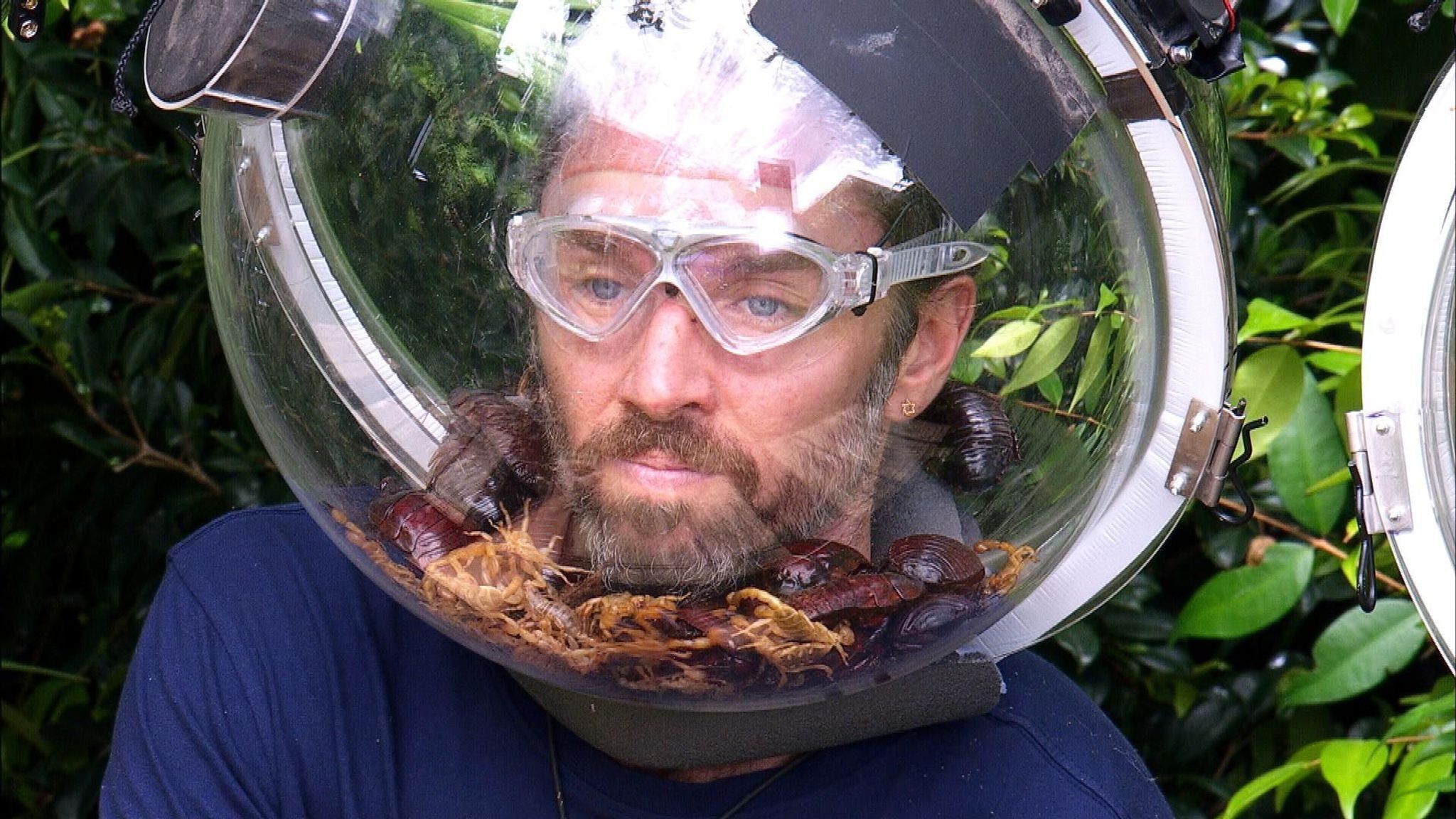 Erst Skandal, nun Krone: Gil Ofarim gewinnt im Dschungelcamp