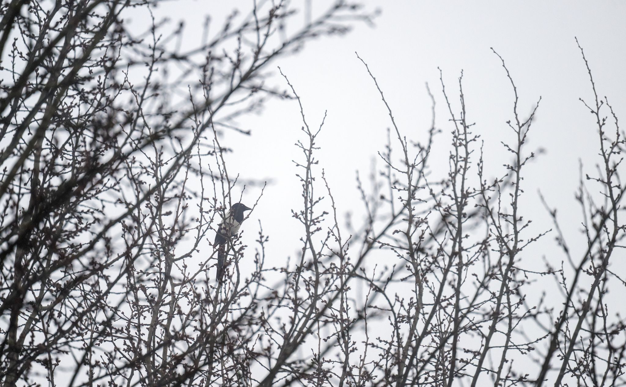 Tristes Winterwetter in Bayern mit einzelnen Lichtblicken