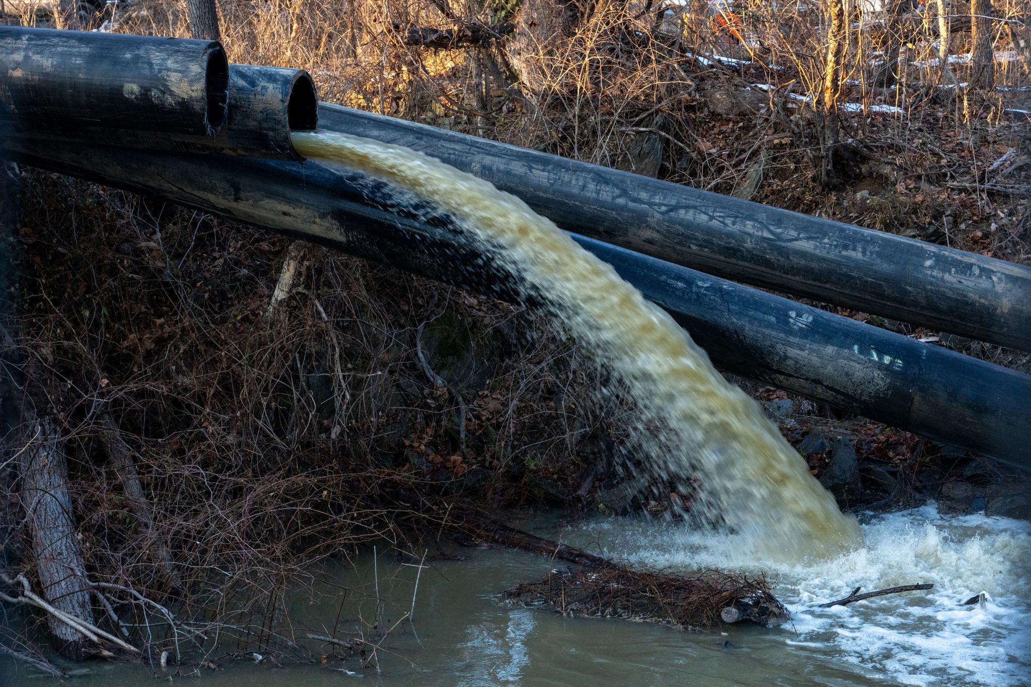 «Katastrophengebiet» Washington: Trump und ein Abwasser-Leck