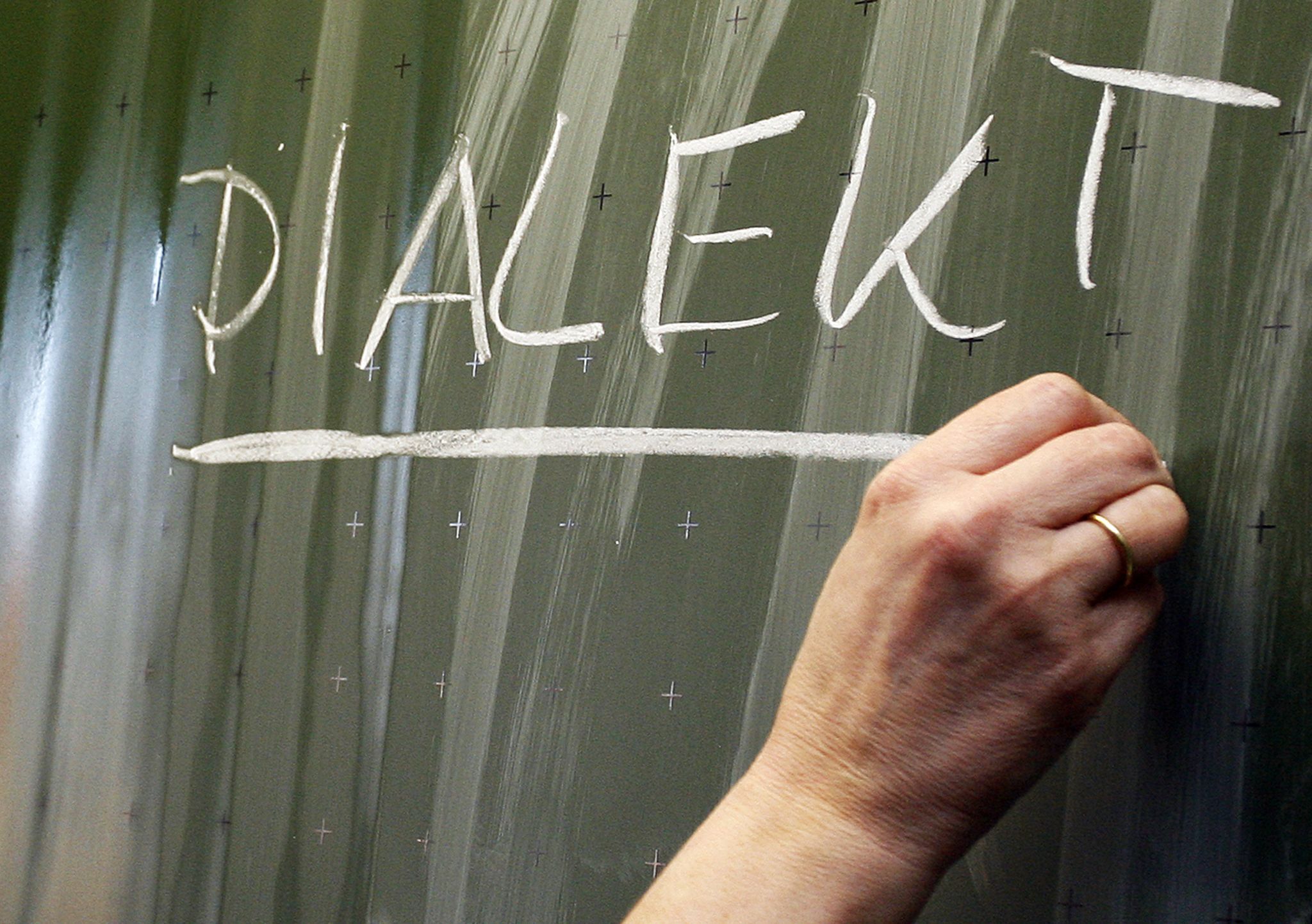 Verein: Wie Politik, Schule und Kunst Dialekt stärken können