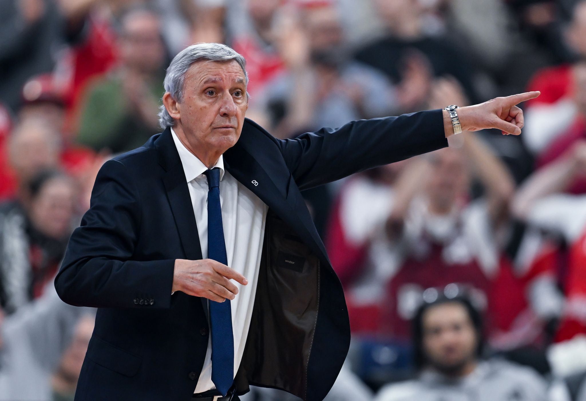 Trainer-Veteran Pesic macht Bayern-Basketballer stark