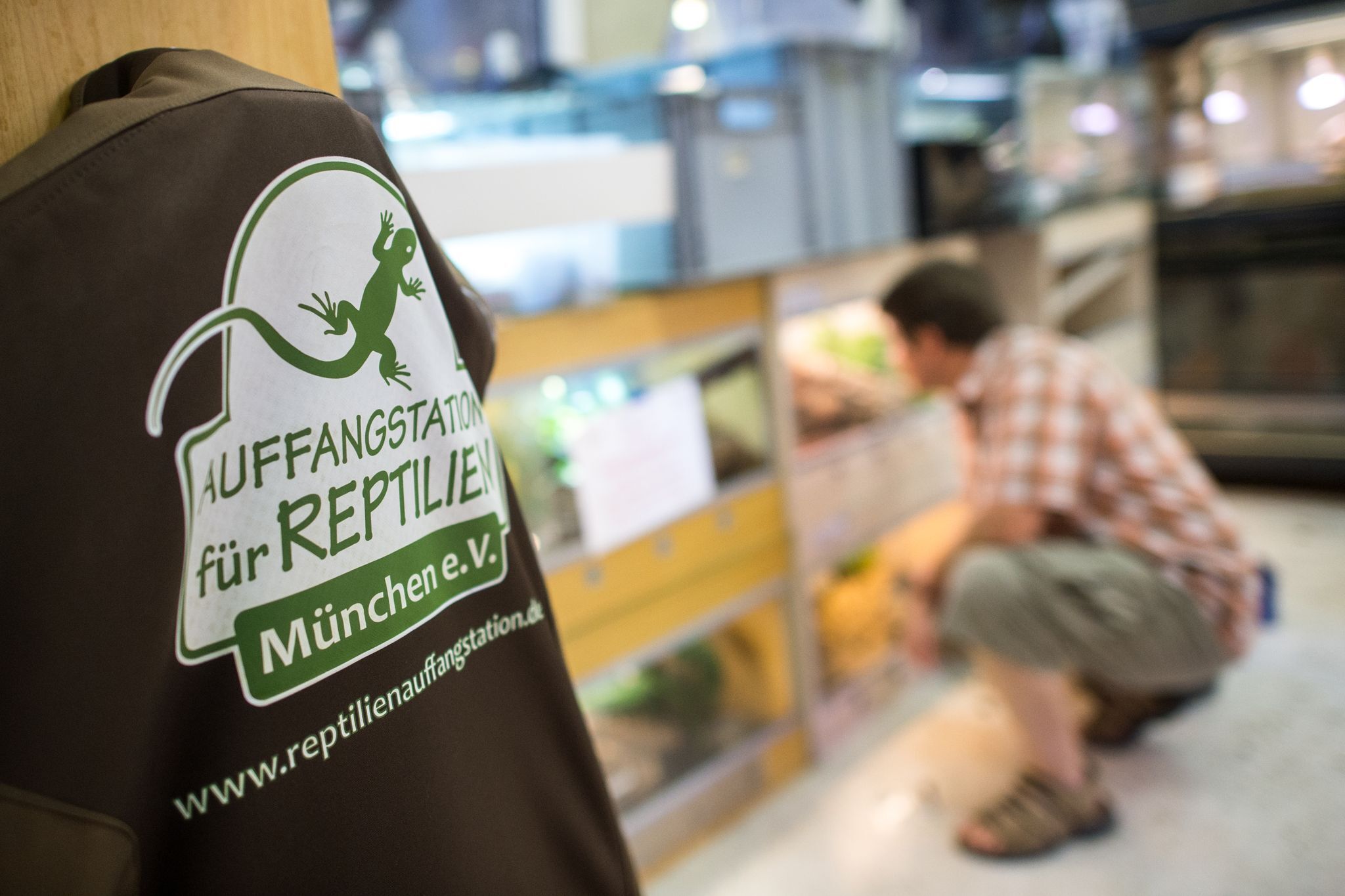 Horror-Schlangenhaltung – Tier eingeschläfert