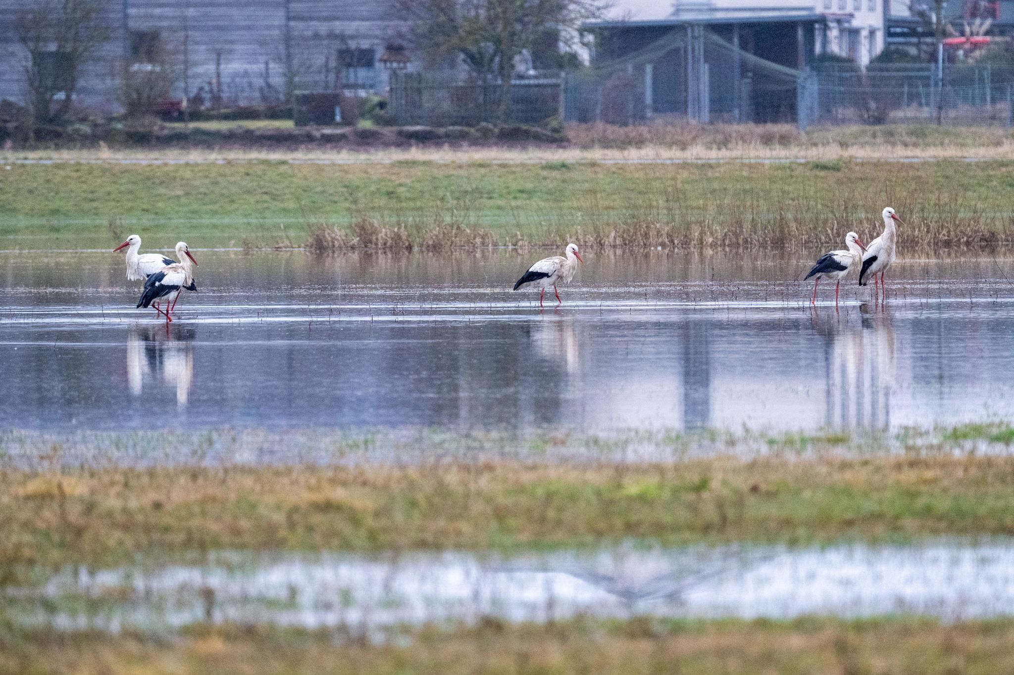 Es wird frühlingshaft – Wetterdienst: Regen lässt nach