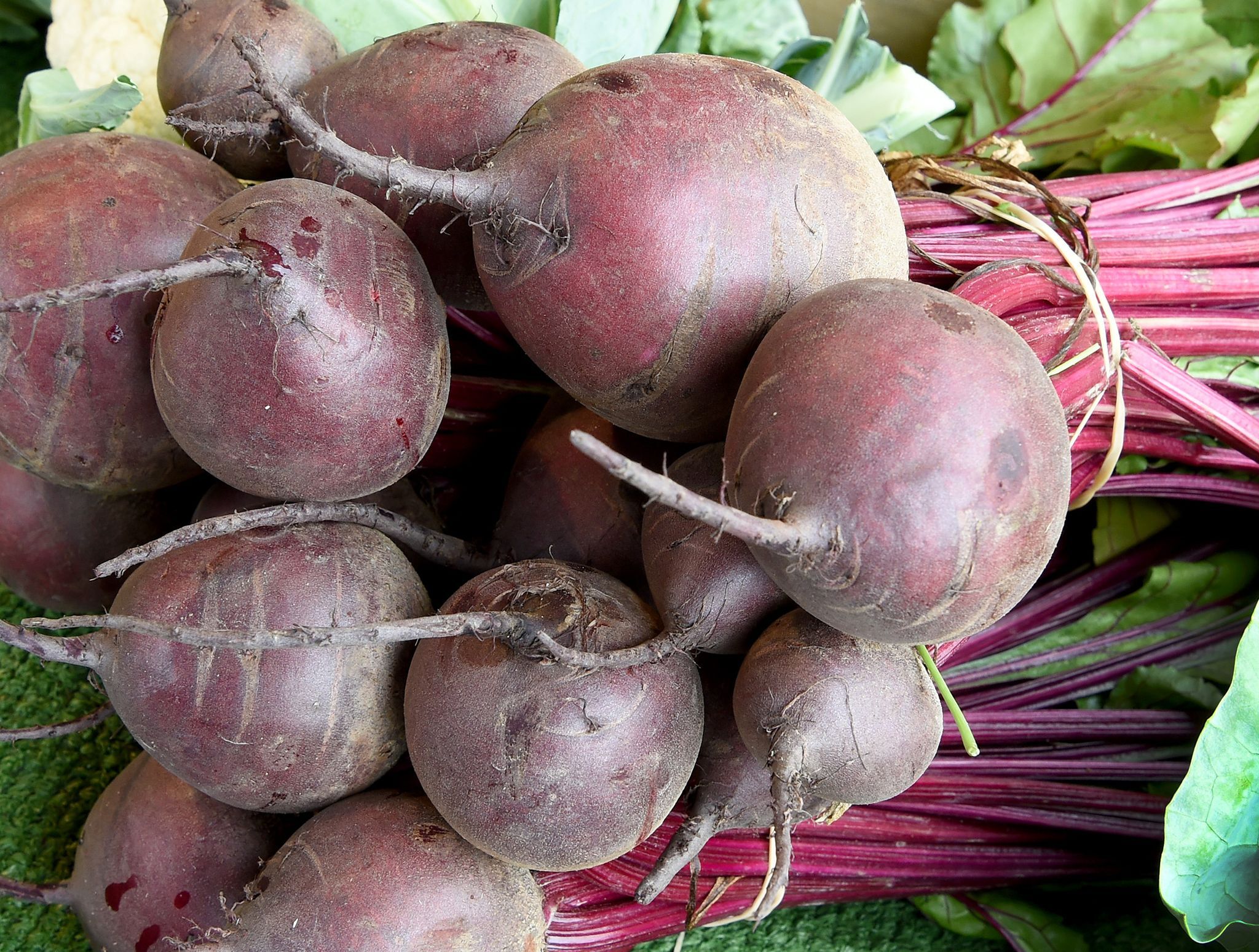 Rote Bete in Biofleisch? – Verhandlung am Verwaltungsgericht