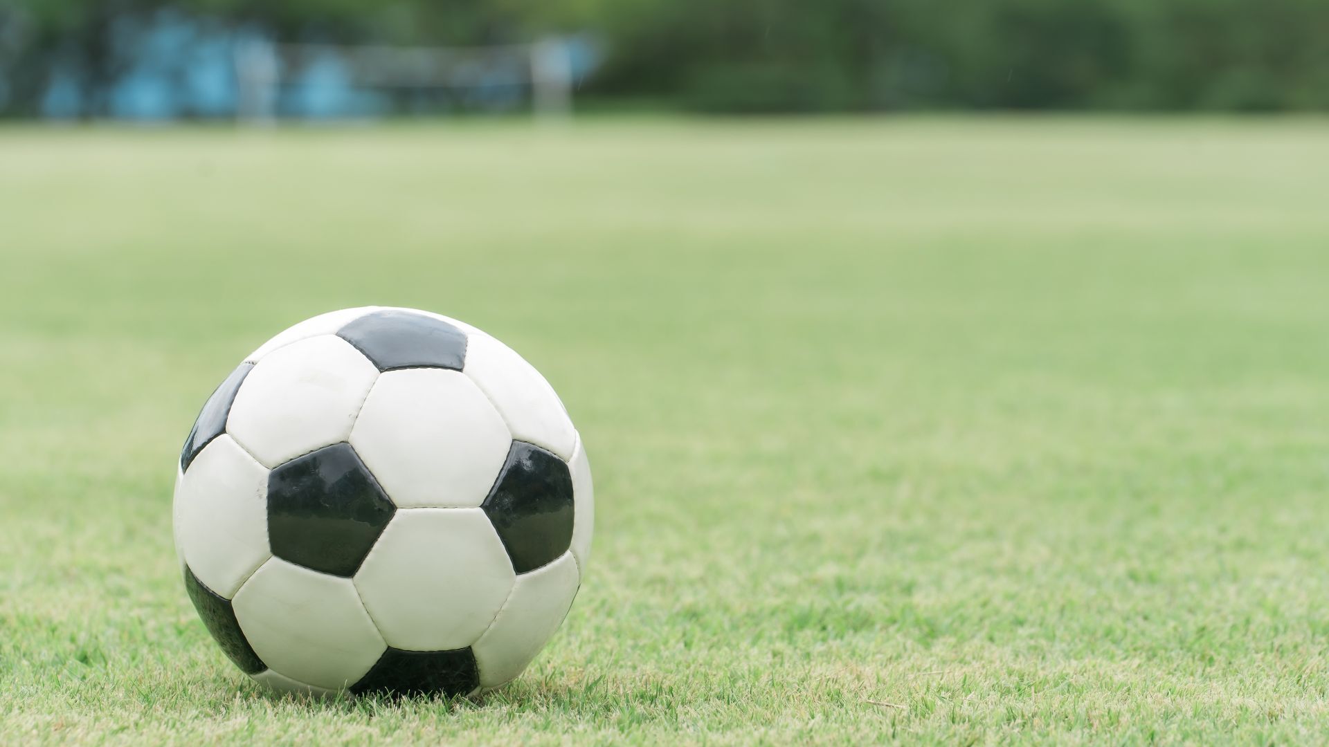 Naturrasenplatz Sperrung gilt weiter