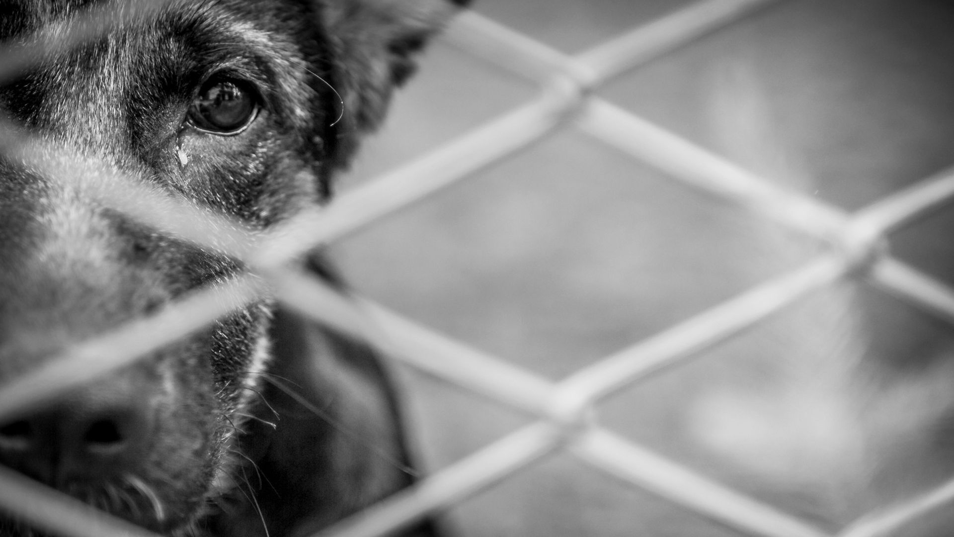 Ermittlungen nach Video aus dem Landkreis Bamberg