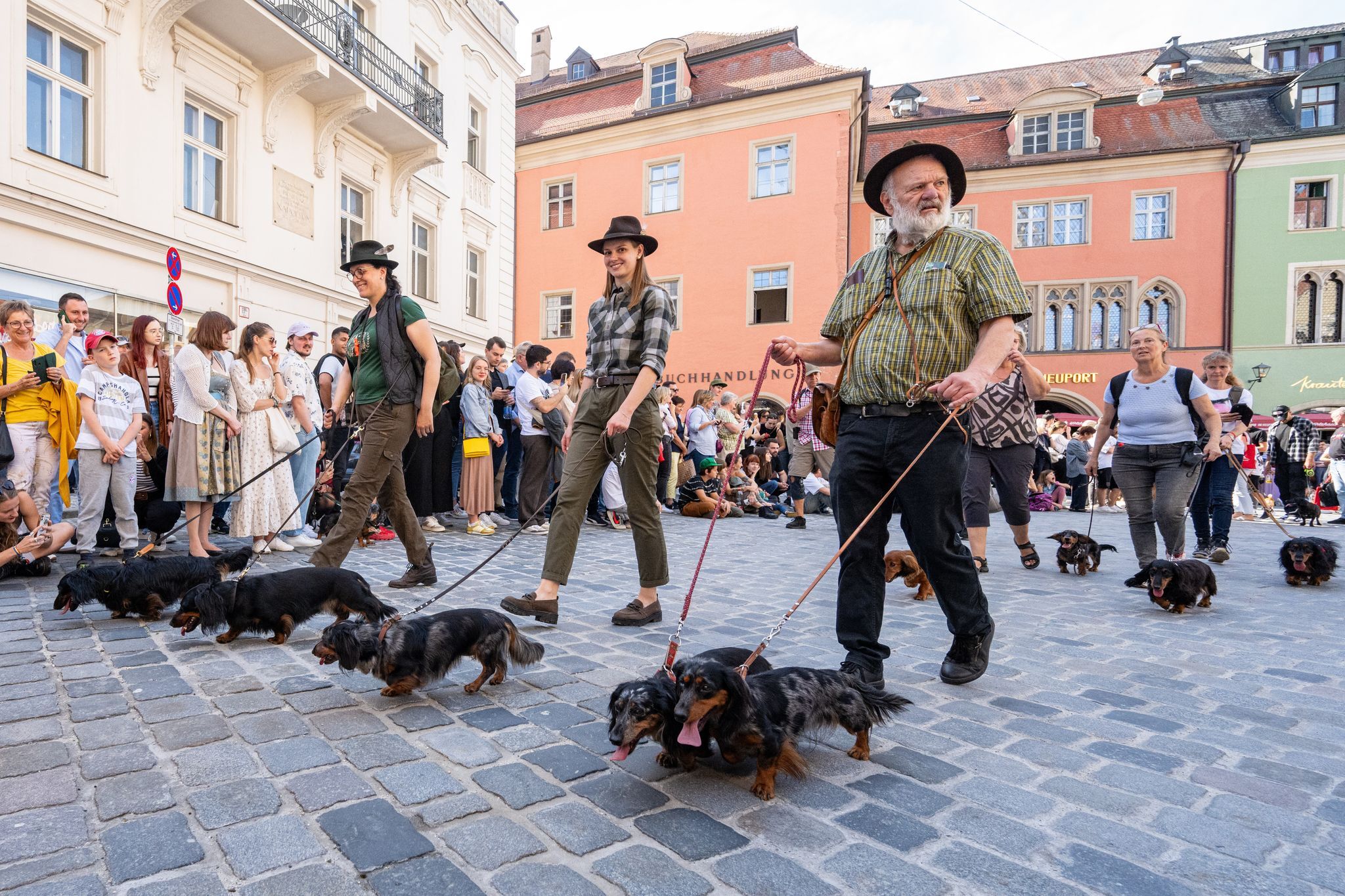 Dackelparade in Regensburg abgesagt
