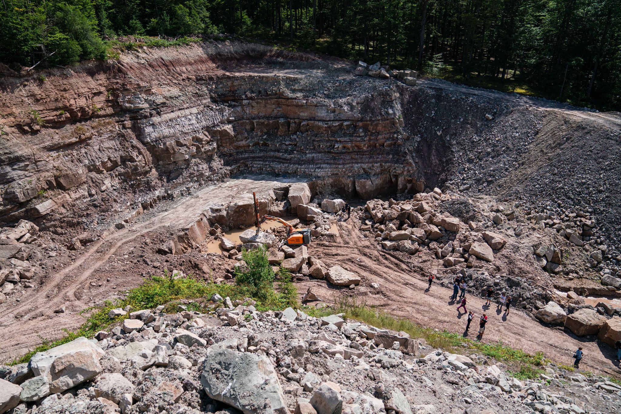 Ein Urzeit-Krimi: Woher kommt das Riesenlurch-Massengrab?