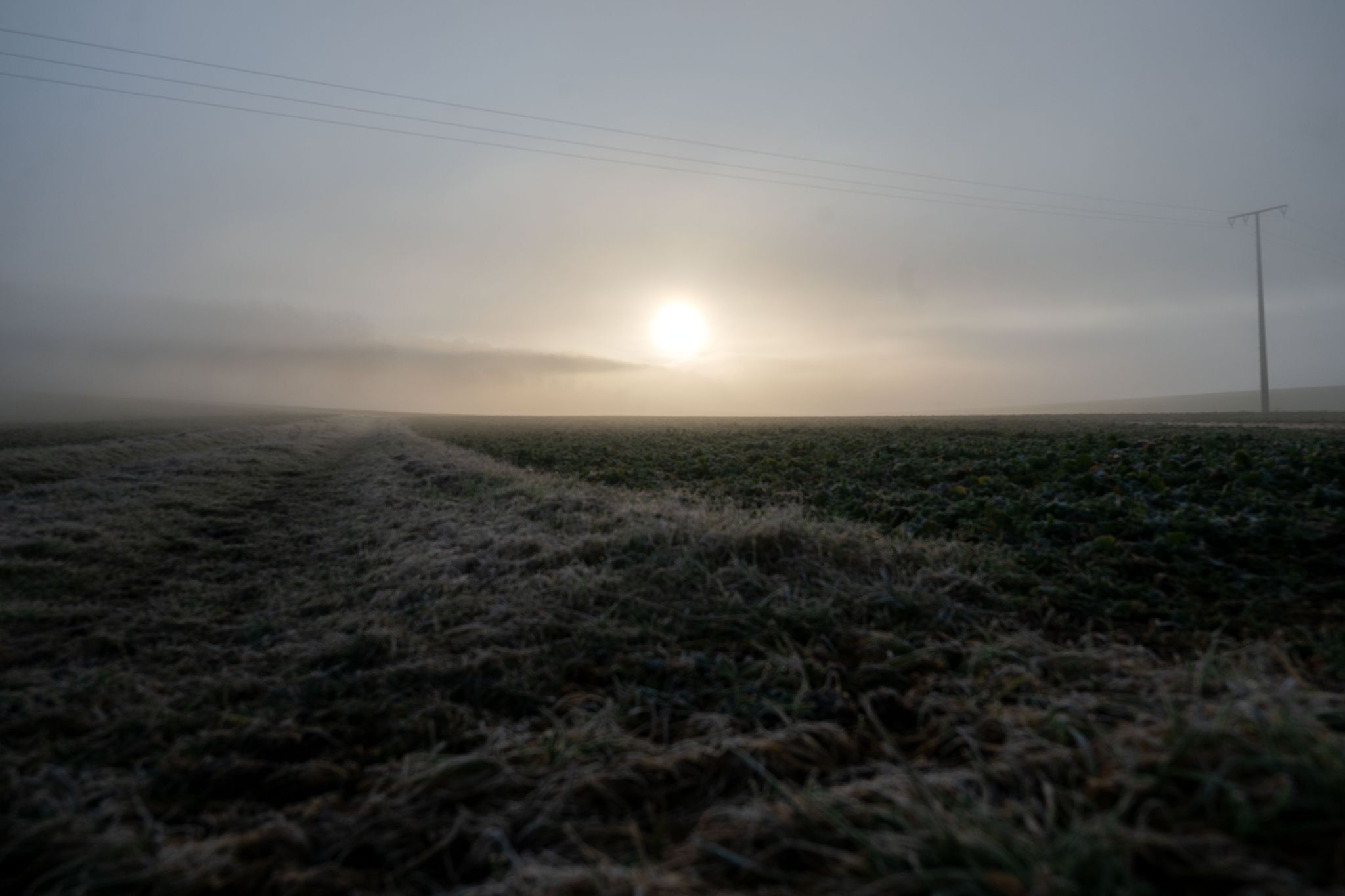 Sonnig und milder Samstag in Bayern